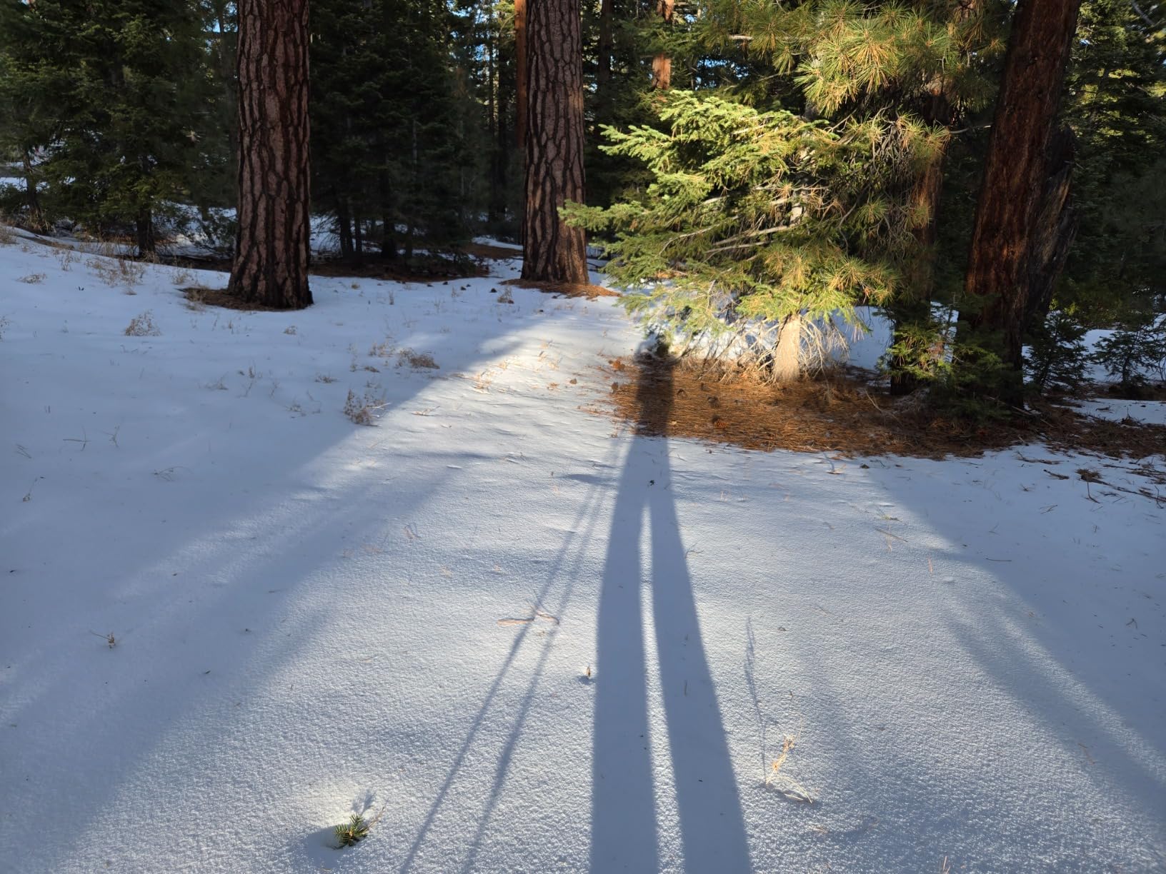G2 21/25/30/36 Inches Light Weight Snowshoes with Toe Box, EVA Padded Ratchet Binding, Heel Lift, Flexible Pivot Bar, Durable Back Strap, Trekking Poles, Carrying Bag, Snow Baskets(6 colors available) customer photo 2