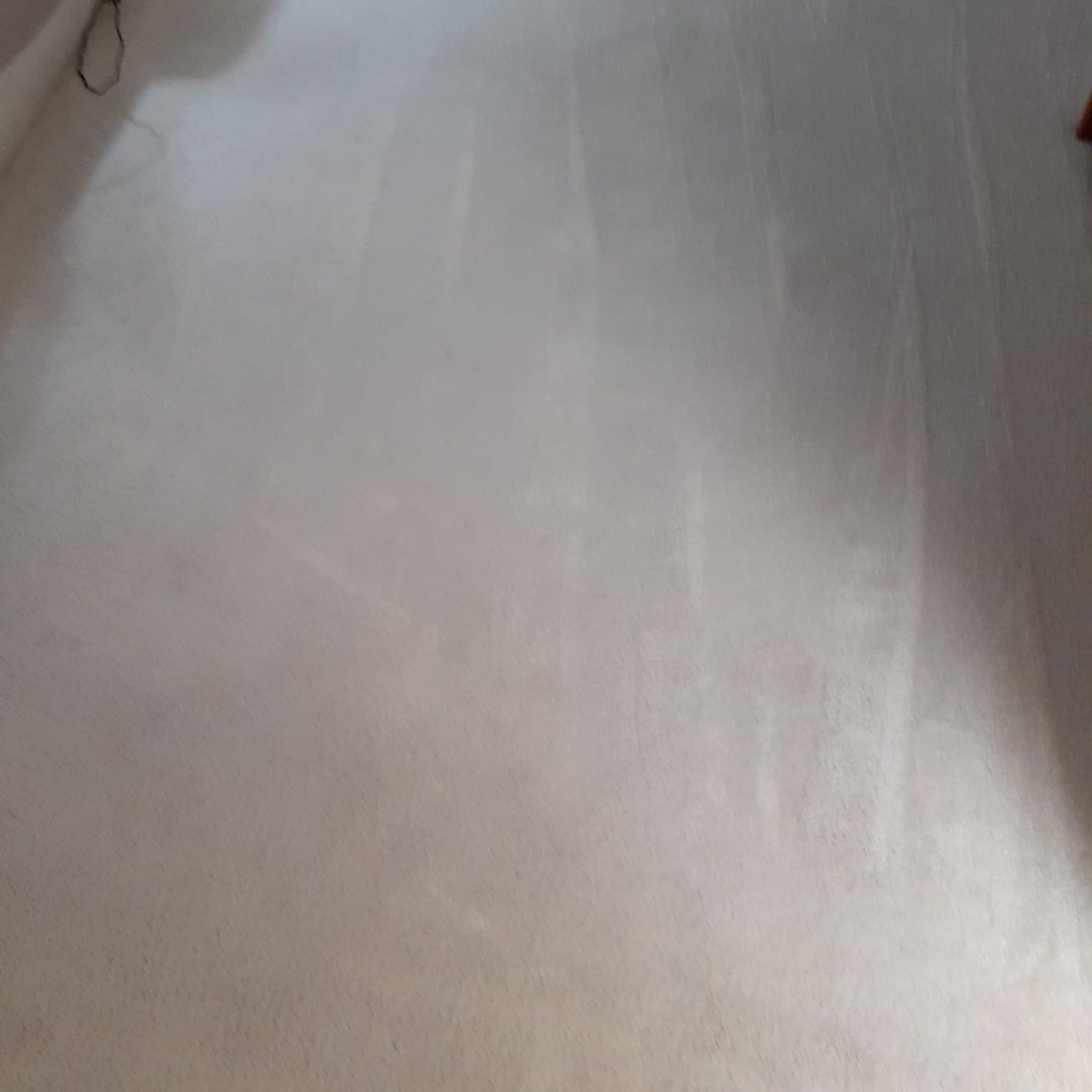 Hoover PowerDash Pet Compact Carpet Cleaner Machine, Lightweight Design customer photo 1