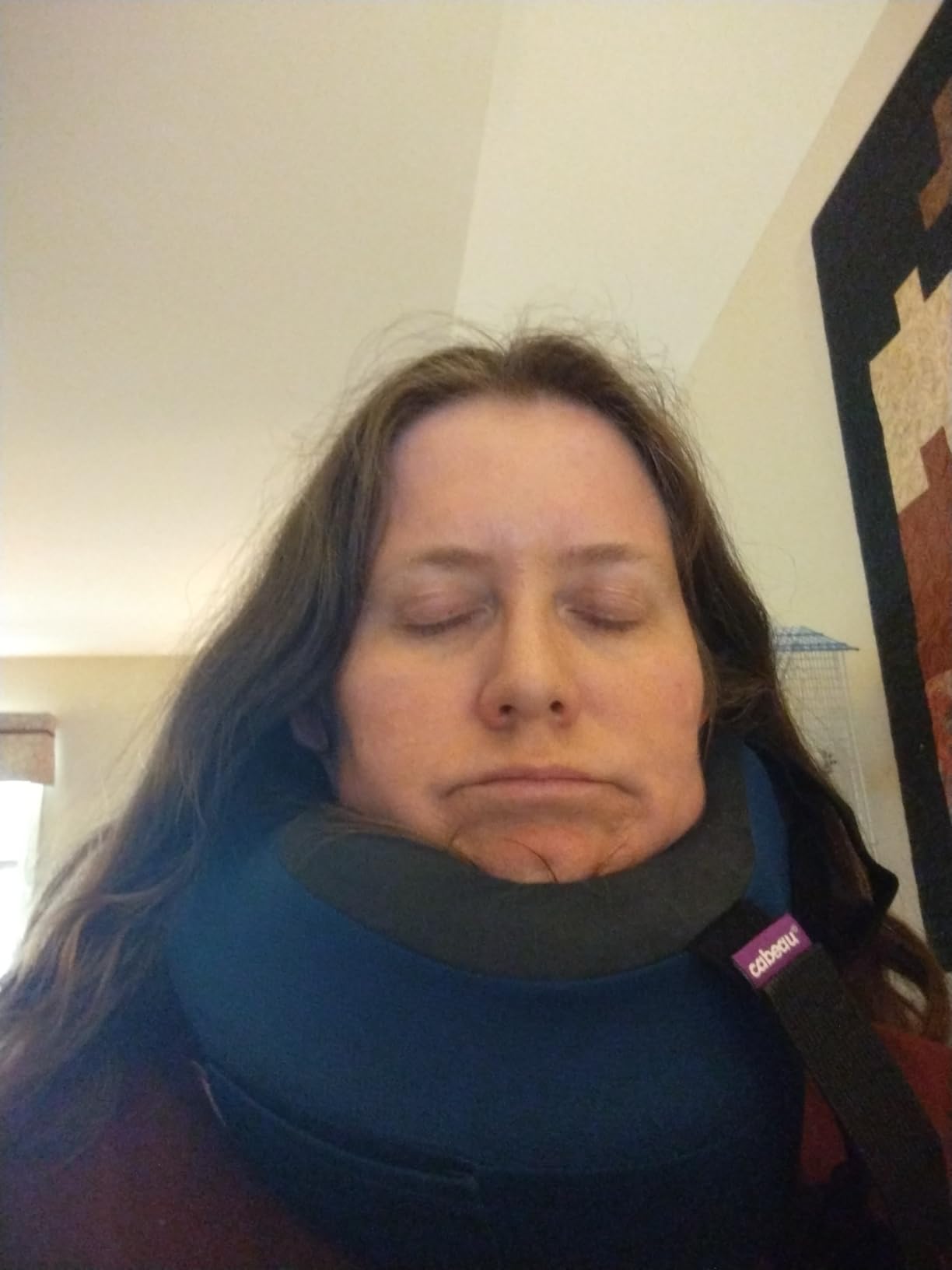 Evolution S3 Travel Pillow - Straps to Airplane Seat - Ensures Your Head Won't Fall Forward - Relax with Plush Memory Foam - Quick-Dry Fabric Keeps You Cool and Dry (Indigo) customer photo 1
