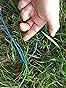 HQ4 Rush School 300 Kiteboarding Snowkiting Landboarding 4-Line Trainer Kite customer photo 1
