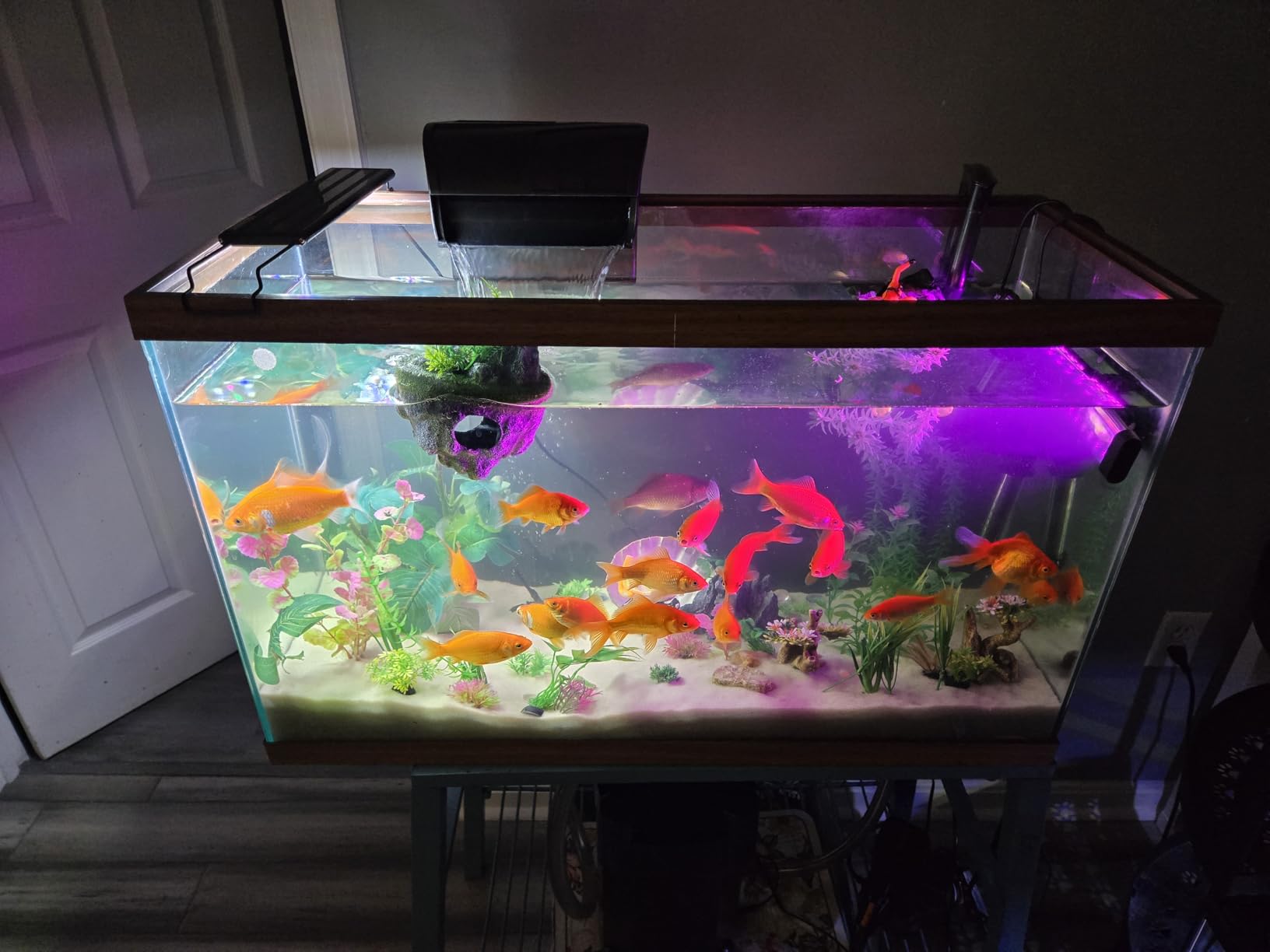 Aqueon QuietFlow Canister Aquarium Filter 100-150 Gallons customer photo 1