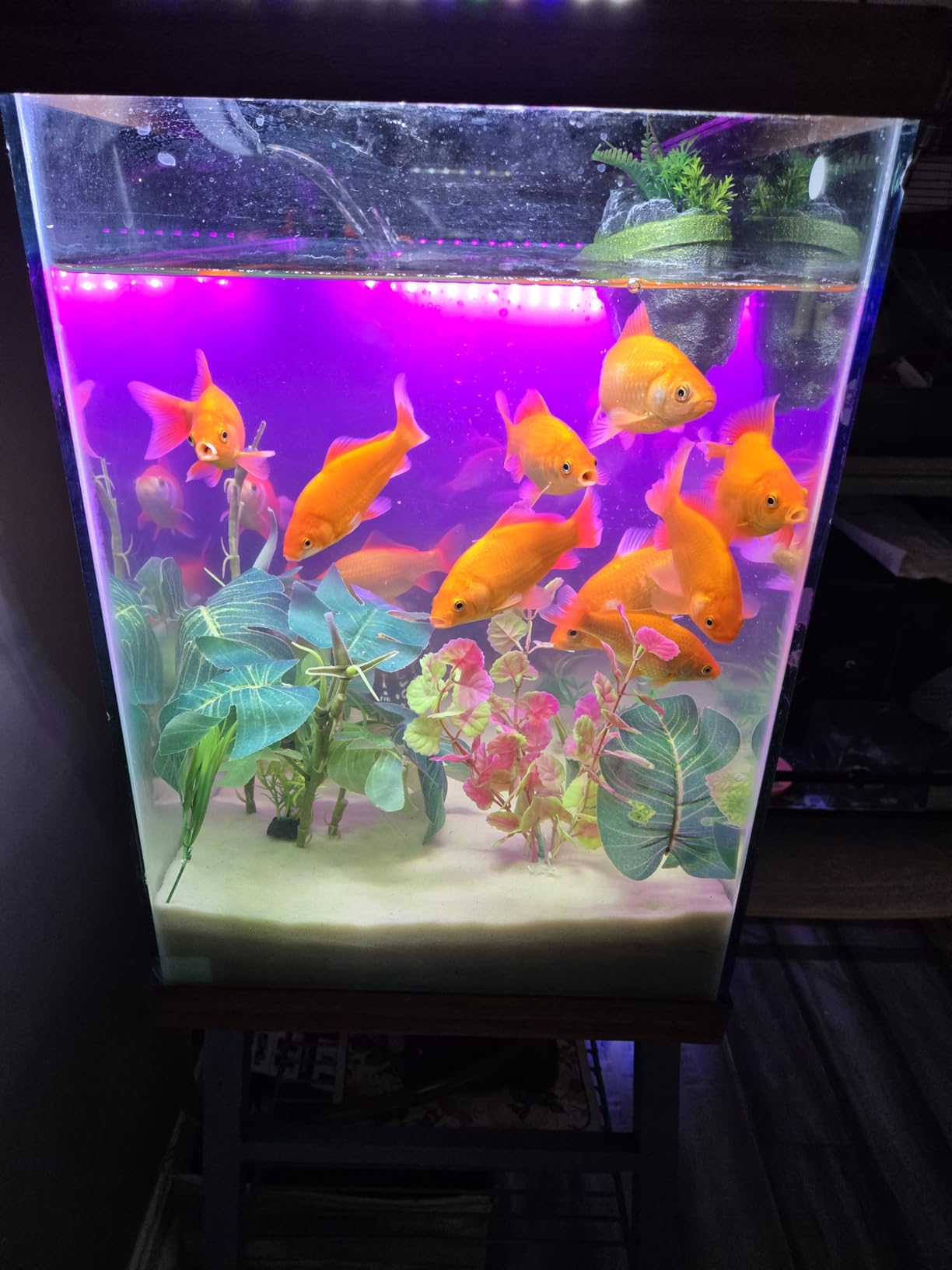 Aqueon QuietFlow Canister Aquarium Filter 100-150 Gallons customer photo 2