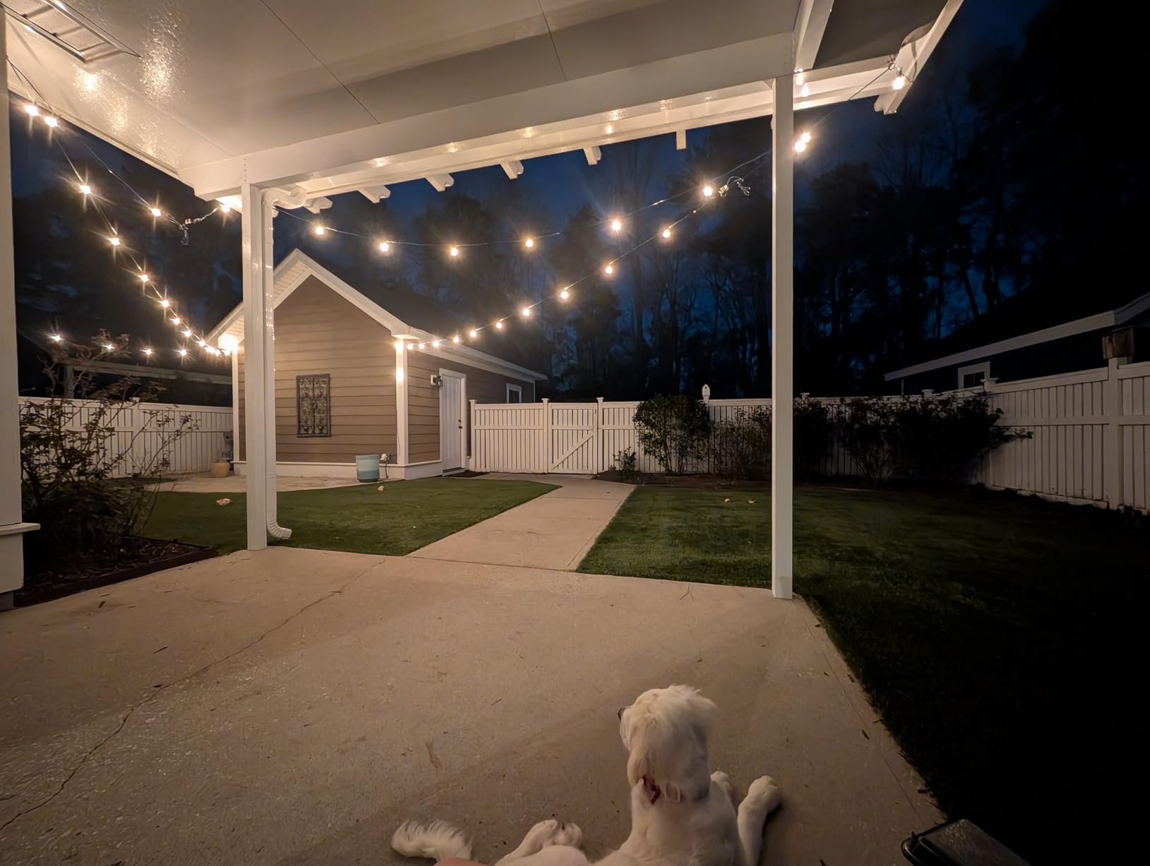 Brightown Outdoor String Lights 69 Feet G40 Globe Patio Lights with 32 Edison Shatterproof Bulbs(2 Spare), Waterproof Connectable Hanging Christmas Light for Backyard Porch Balcony Party Xmas Decor customer photo 1