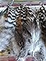30 pcs Natural White Black Barred Grizzly Rooster Hackles Streamers Fly Fishing Tying Hackle Feathers Materials customer photo 1