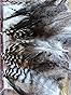 30 pcs Natural White Black Barred Grizzly Rooster Hackles Streamers Fly Fishing Tying Hackle Feathers Materials customer photo 2