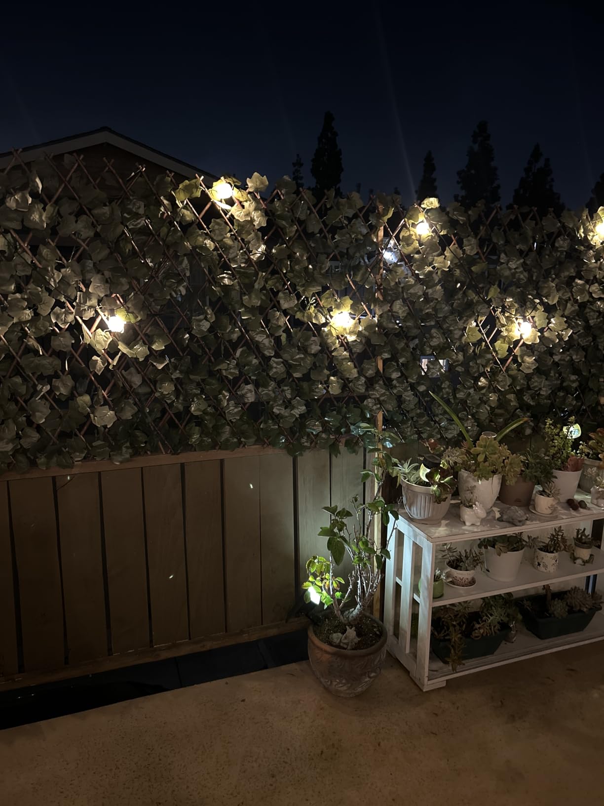 Expandable Fence Privacy Screen for Balcony Patio Outdoor, Decorative Faux Ivy Fencing Panel, Artificial Hedges (Single Sided Leaves) customer photo 2