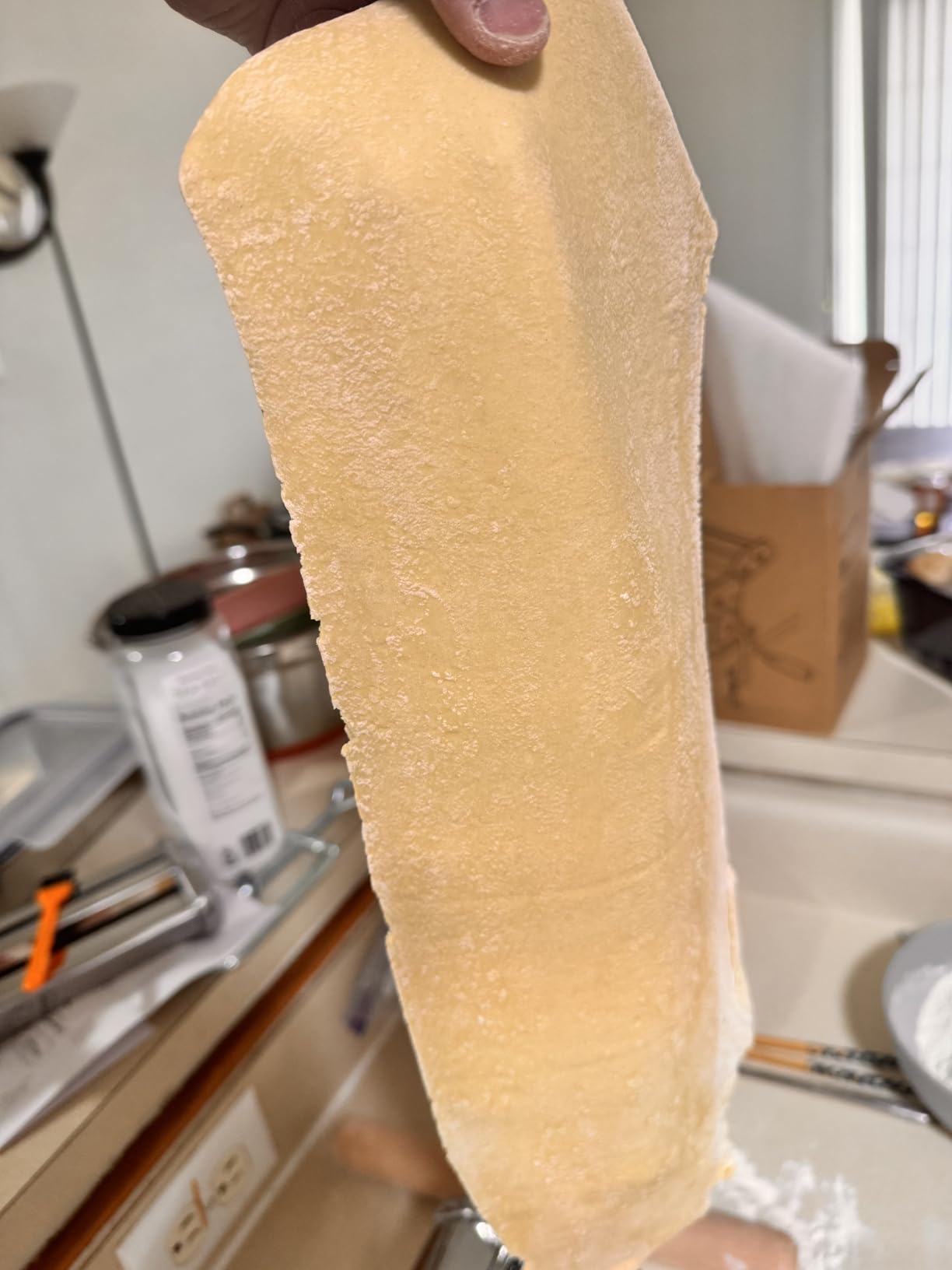 ISILER Pasta Maker, 9 Adjustable Thickness Settings 2 in 1 Pasta Machine with Rollers and Cutter, Noodle Maker for Dumpling Skin, Spaghetti, Fettuccini, Lasagna customer photo 2