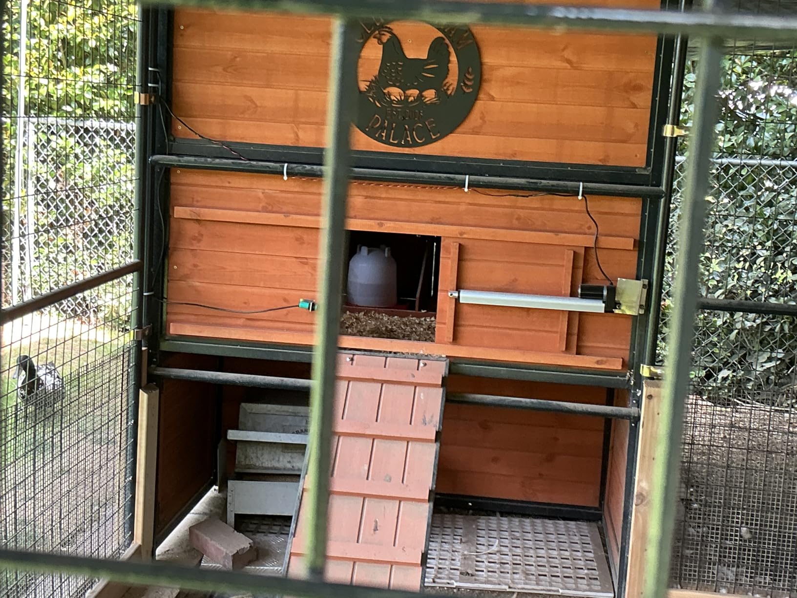 JVR Automatic Chicken Coop Door Opener with Timer, Programmable, Aluminum Coops Doors, Electric Run Automatic Chicken Door Auto Opener, Actuator Motor, Anti-Pinch Auto Reopen & Stop Safety customer photo 2