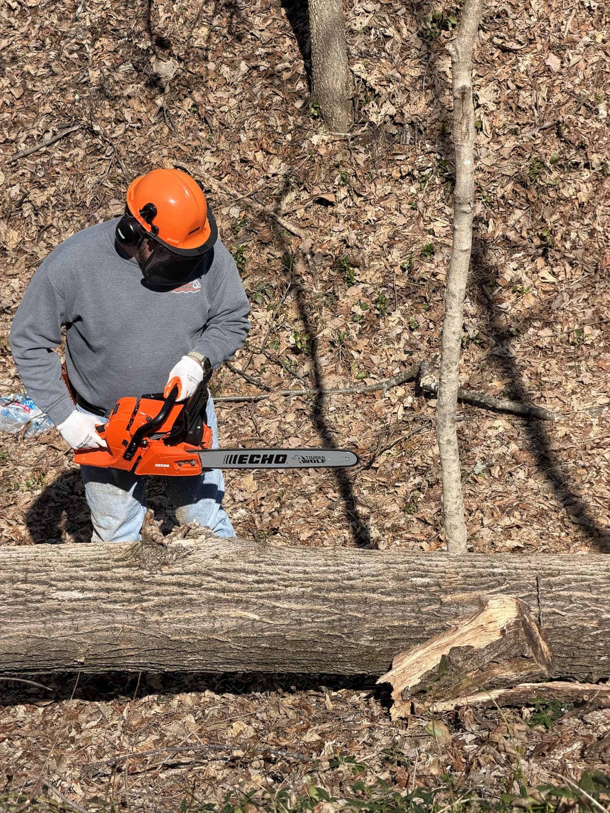 ECHO 24 in. 59.8 cc Gas 2-Stroke Rear Handle Timber Wolf Chainsaw CS-590-24 customer photo 1