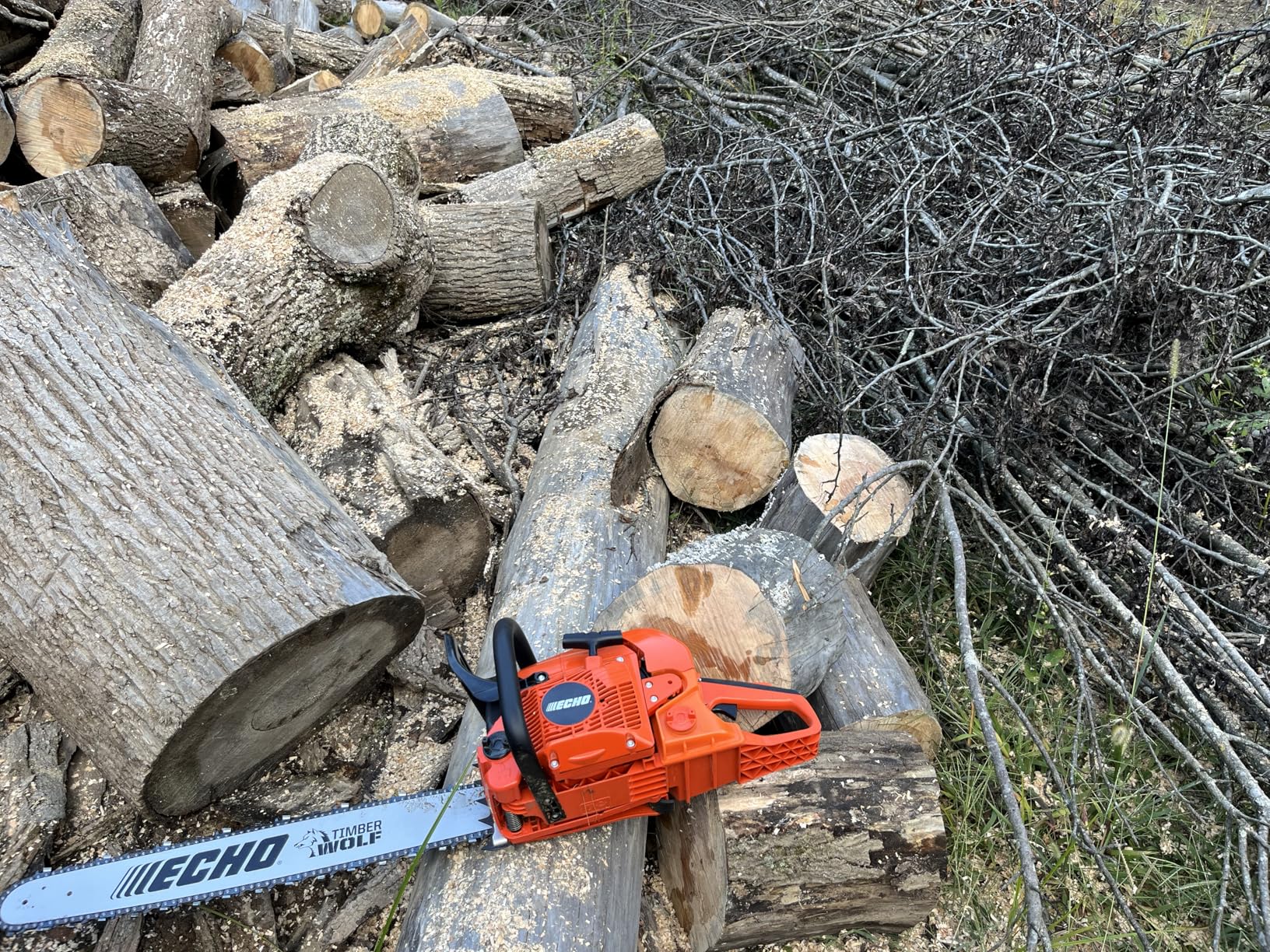 ECHO 24 in. 59.8 cc Gas 2-Stroke Rear Handle Timber Wolf Chainsaw CS-590-24 customer photo 2
