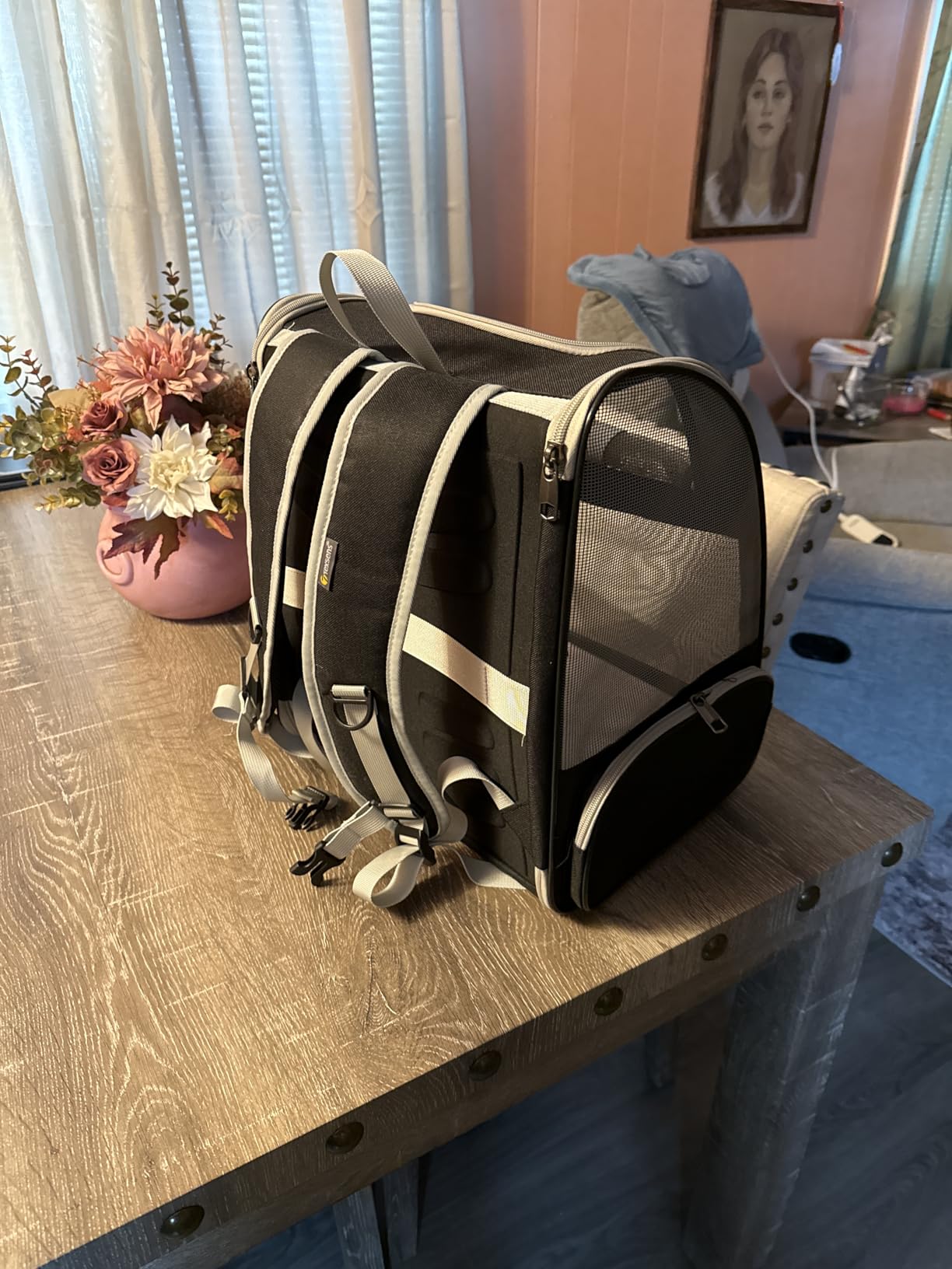 Texsens Innovative Traveler Bubble Backpack Pet Carriers for Cats and Dogs (Black) customer photo 1