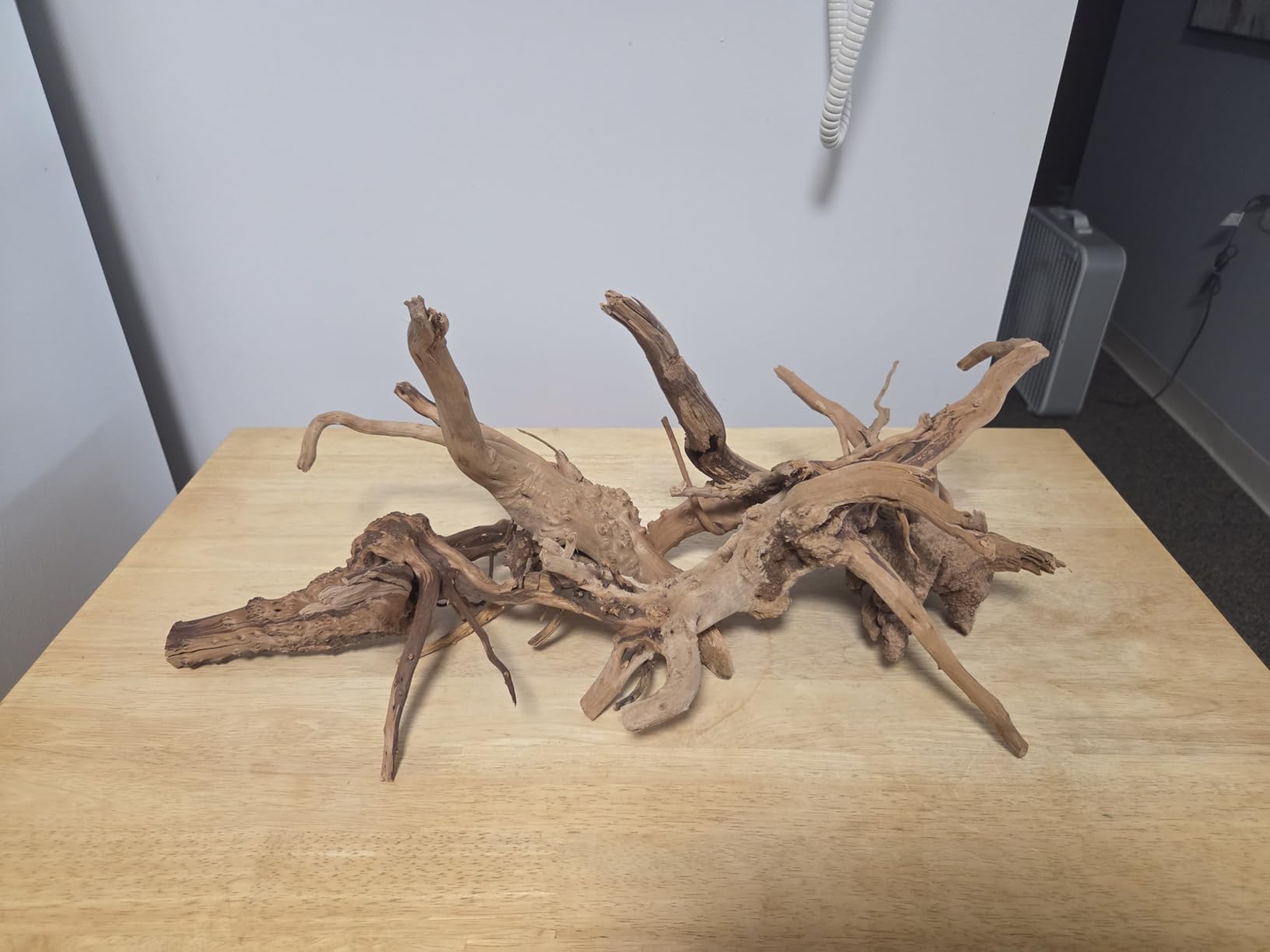 Tfwadmx Natural Driftwood for Aquarium, 11-13 inch Reptile Branches Terrarium Wood Aquarium Trunk Driftwood Tree Fish Tank Log Decoration Pack of 2 customer photo 1