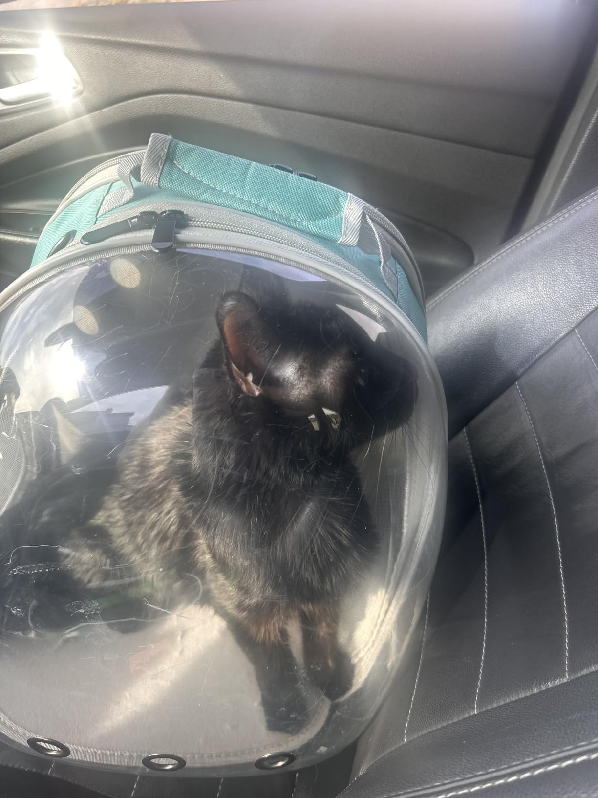 Back Expandable Cat Backpack Carrier, Fit up to 12 lbs, Space Capsule Bubble Window Pet Carrier Backpack to Carry and Transport Cat Bunny Small Puppy customer photo 2