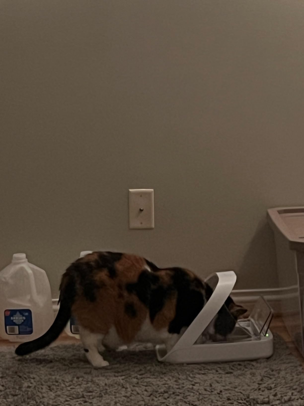 SureFeed Microchip Pet Feeder Connect - Requires Hub Sold Separately customer photo 1