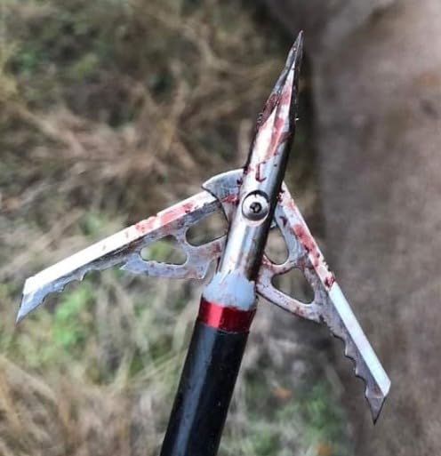 RAGE Hypodermic NC 2-Blade 100gr Hunting Broadhead (R38100), Hybrid Tip, No Collar Blade Lock, 0.35
