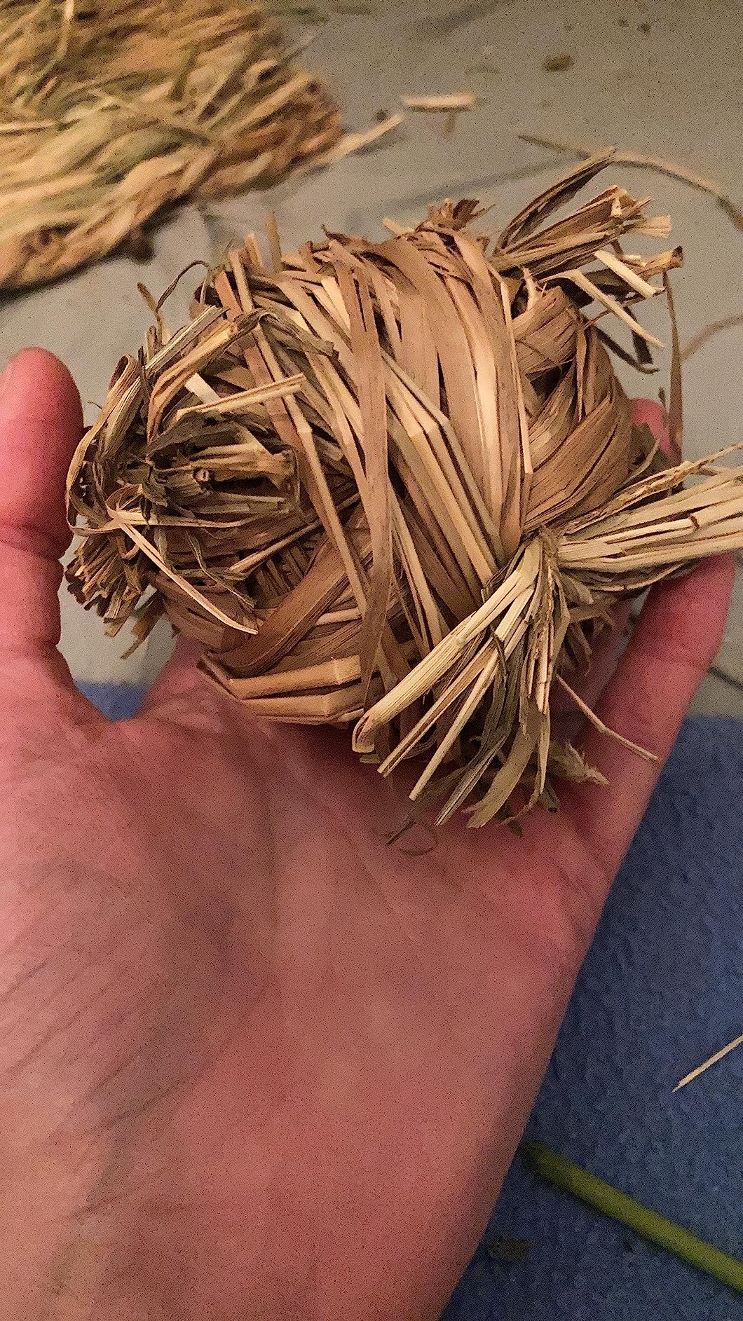Oxbow Enriched Life Crazy Hay Ball, Rabbit Toys, Guinea Pig Toys, Enrichment for Bunny, Guinea Pig, Hamster, Rabbit, Chinchilla, Rat, Chinchilla Cage Accessories, Small Pet Accessories for Cage customer photo 2