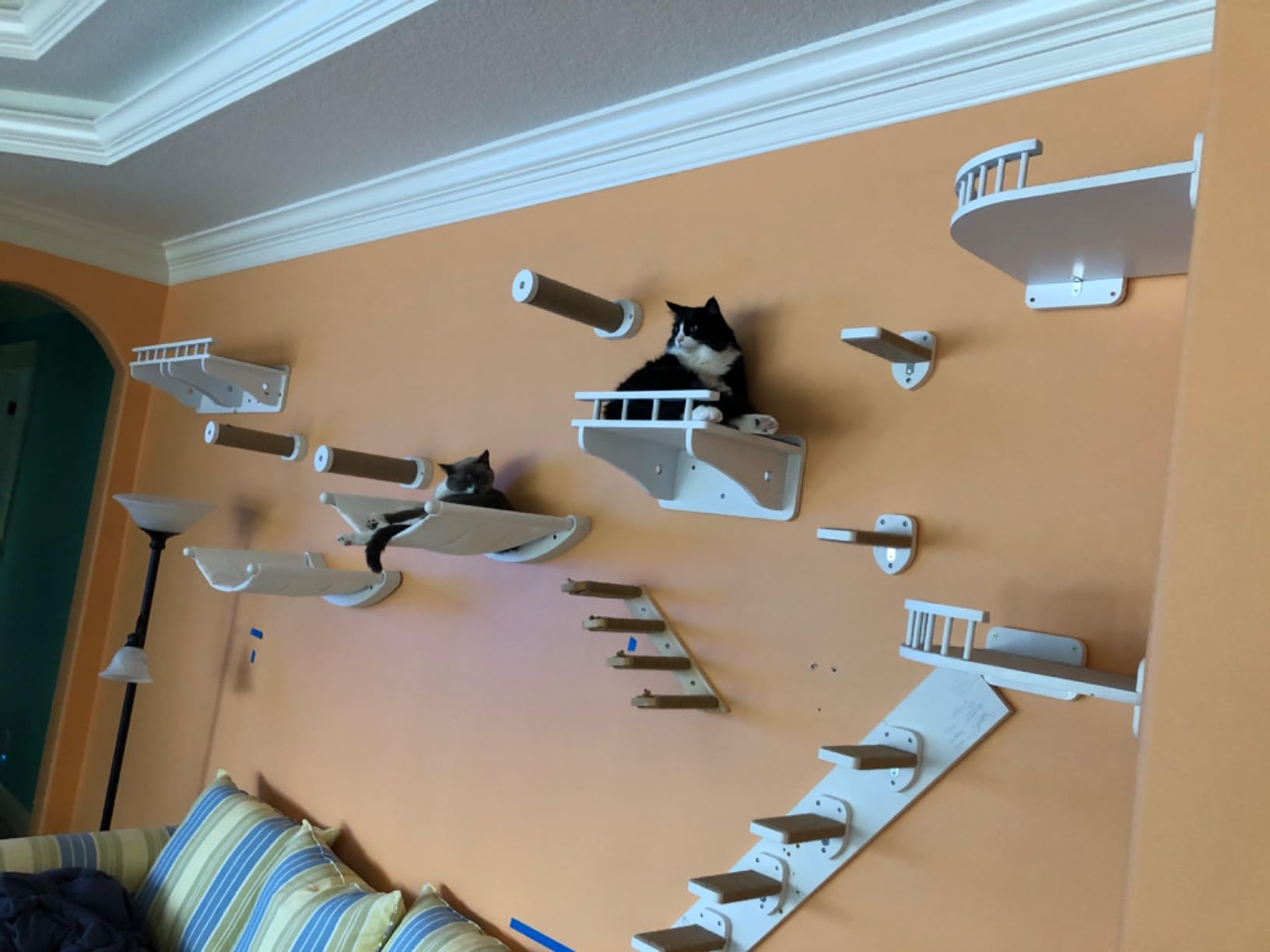 7 Ruby Road Cat Wall Shelves Hammock Set - Wall Mounted Cat Furniture with Steps for Large Cats, Indoor Climbing & Lounging customer photo 2