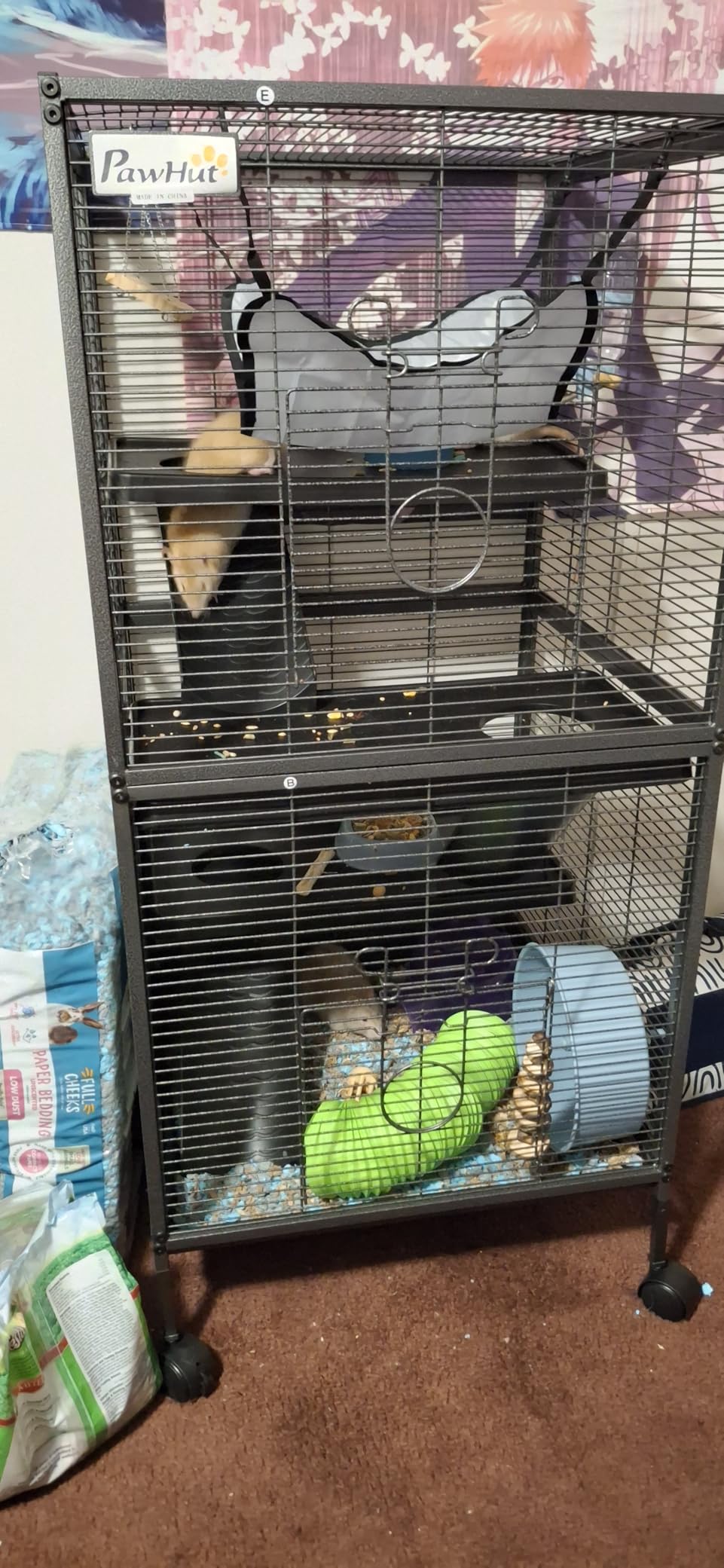 PawHut 50
