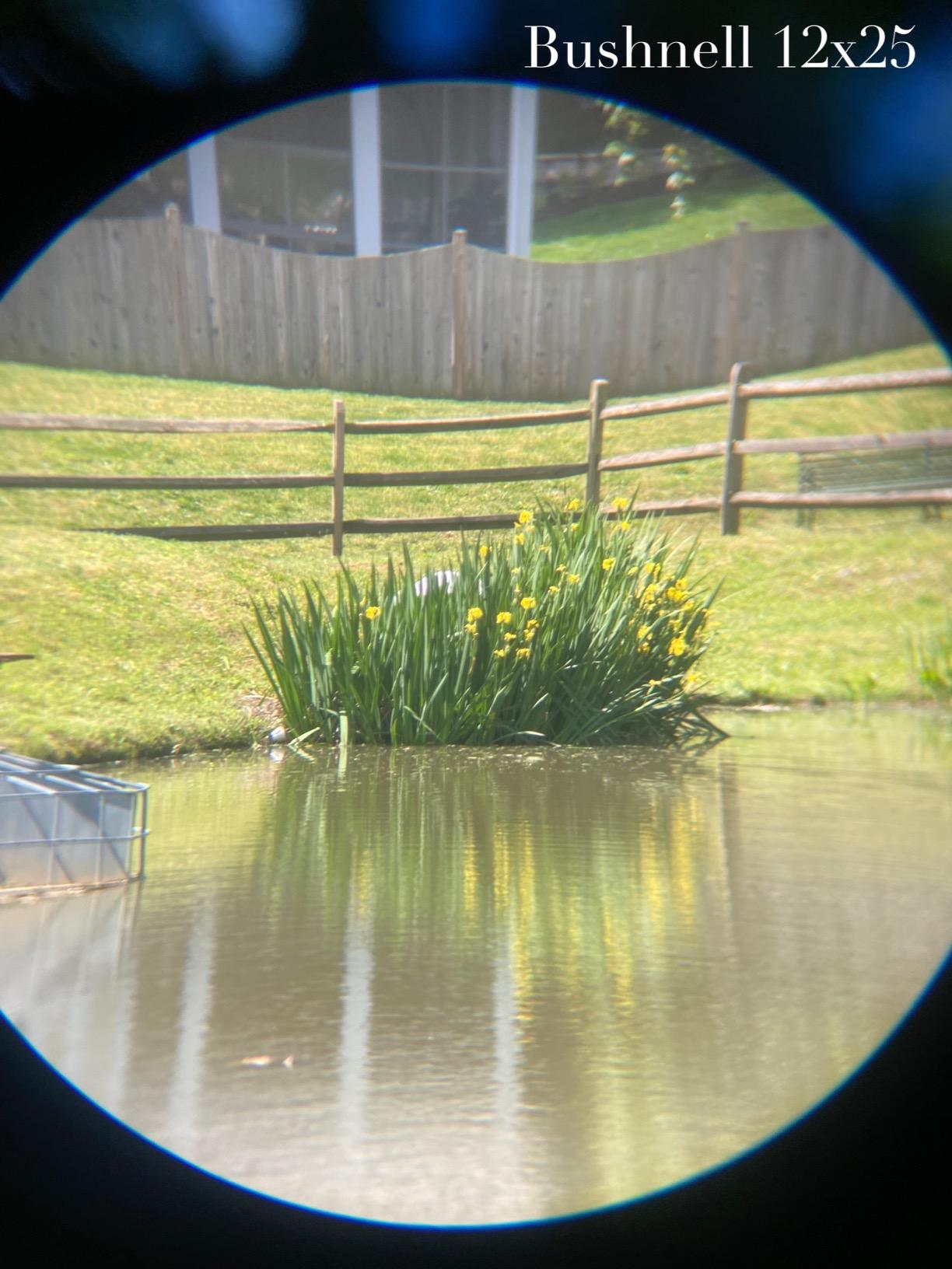 12x42 HD Binoculars for Adults High Powered with Phone Adapter and Tripod, Super Bright BAK4 Prism Waterproof Binoculars customer photo 1