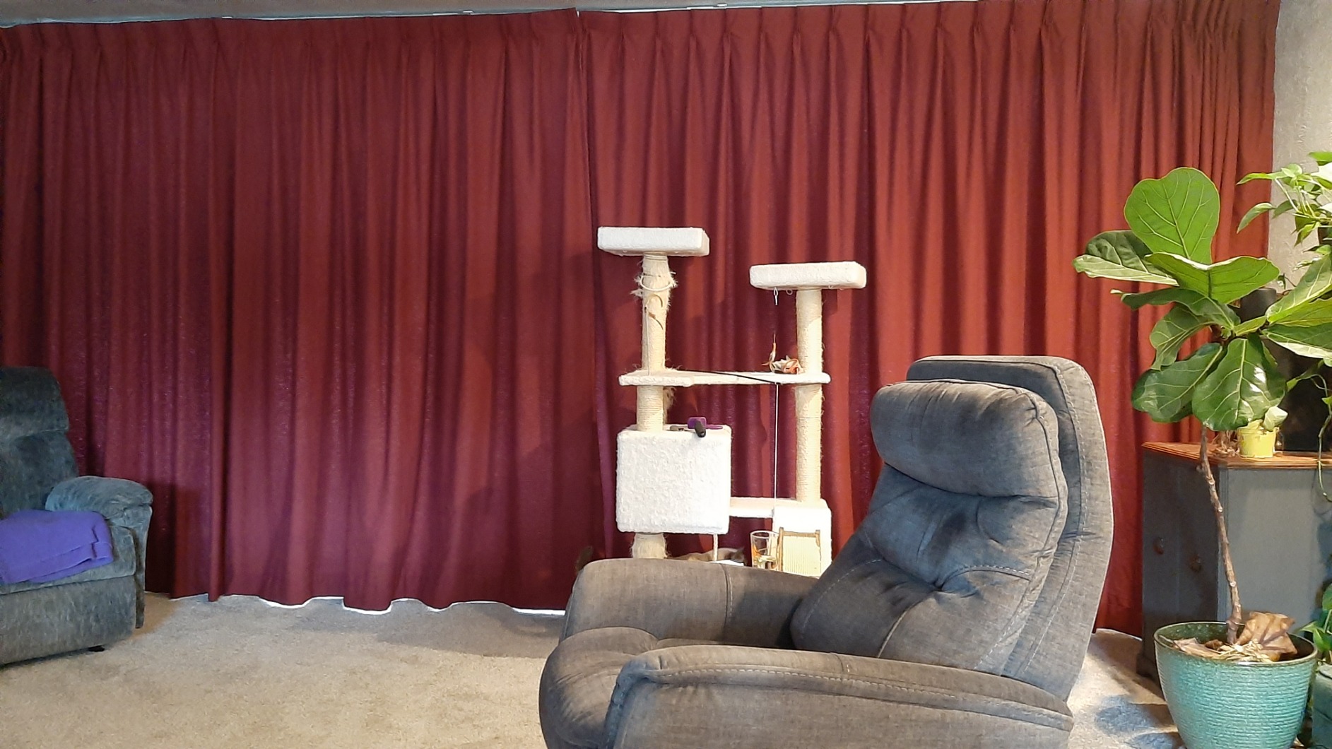 Quoya QL500 Smart Curtains System, Electric Curtain Track with Automated Rail (Motorized and Adjustable Tracks/Rod/Pole compatible with Alexa, Google, Siri) (up to 196 inches / 5 metres) customer photo 2
