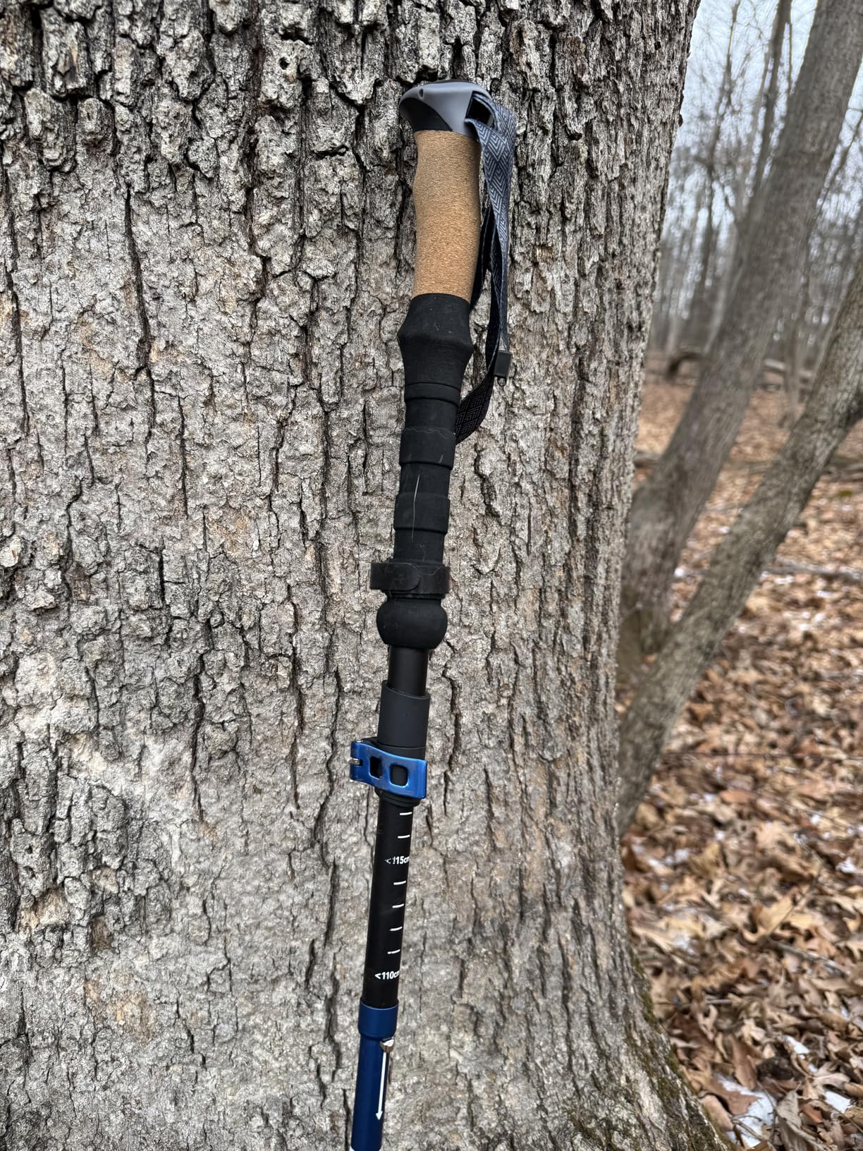 Trekology Trek-Z Cork Grip Collapsible Lightweight Hiking Trekking Poles customer photo 1