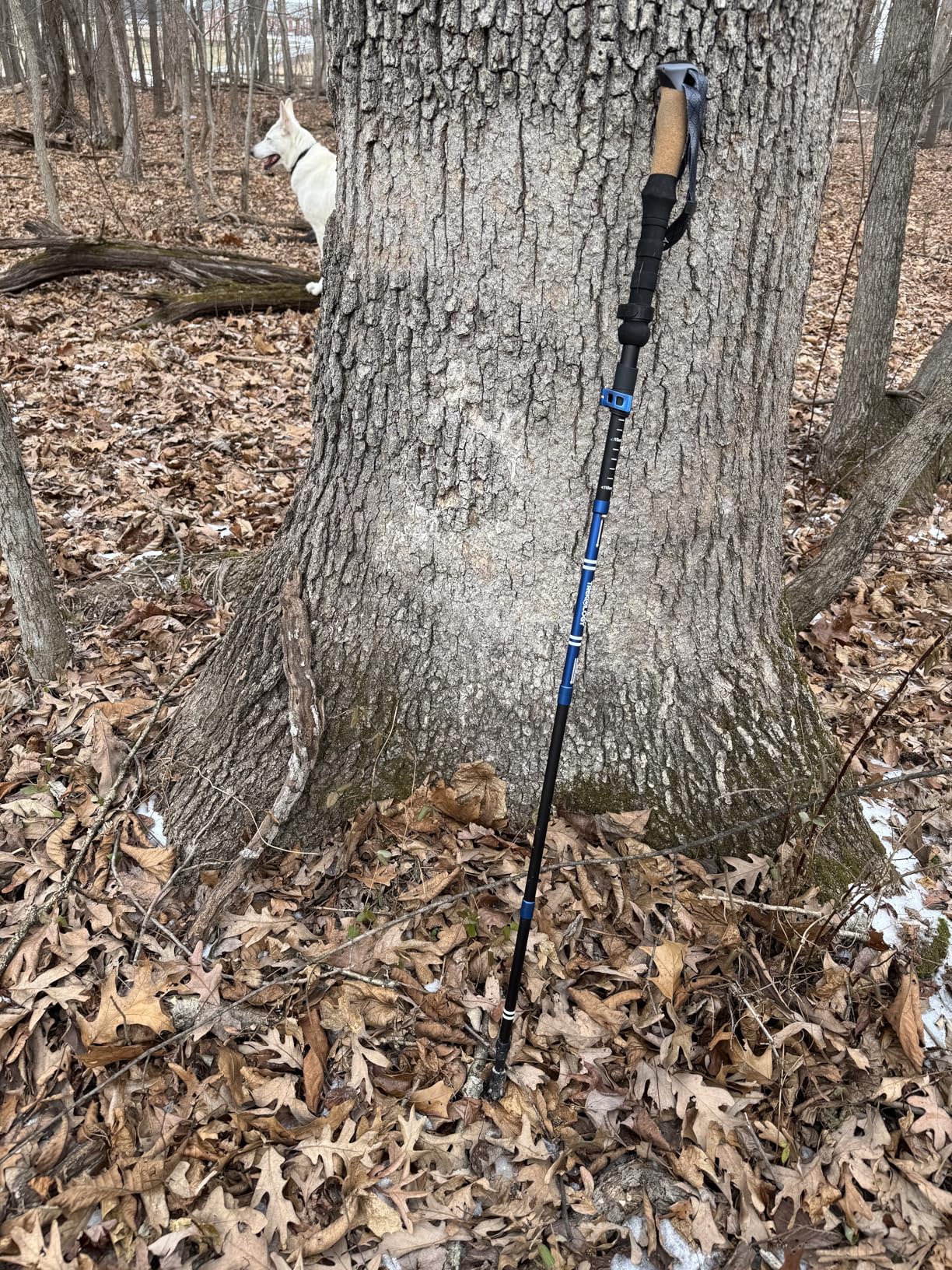 Trekology Trek-Z Cork Grip Collapsible Lightweight Hiking Trekking Poles customer photo 2