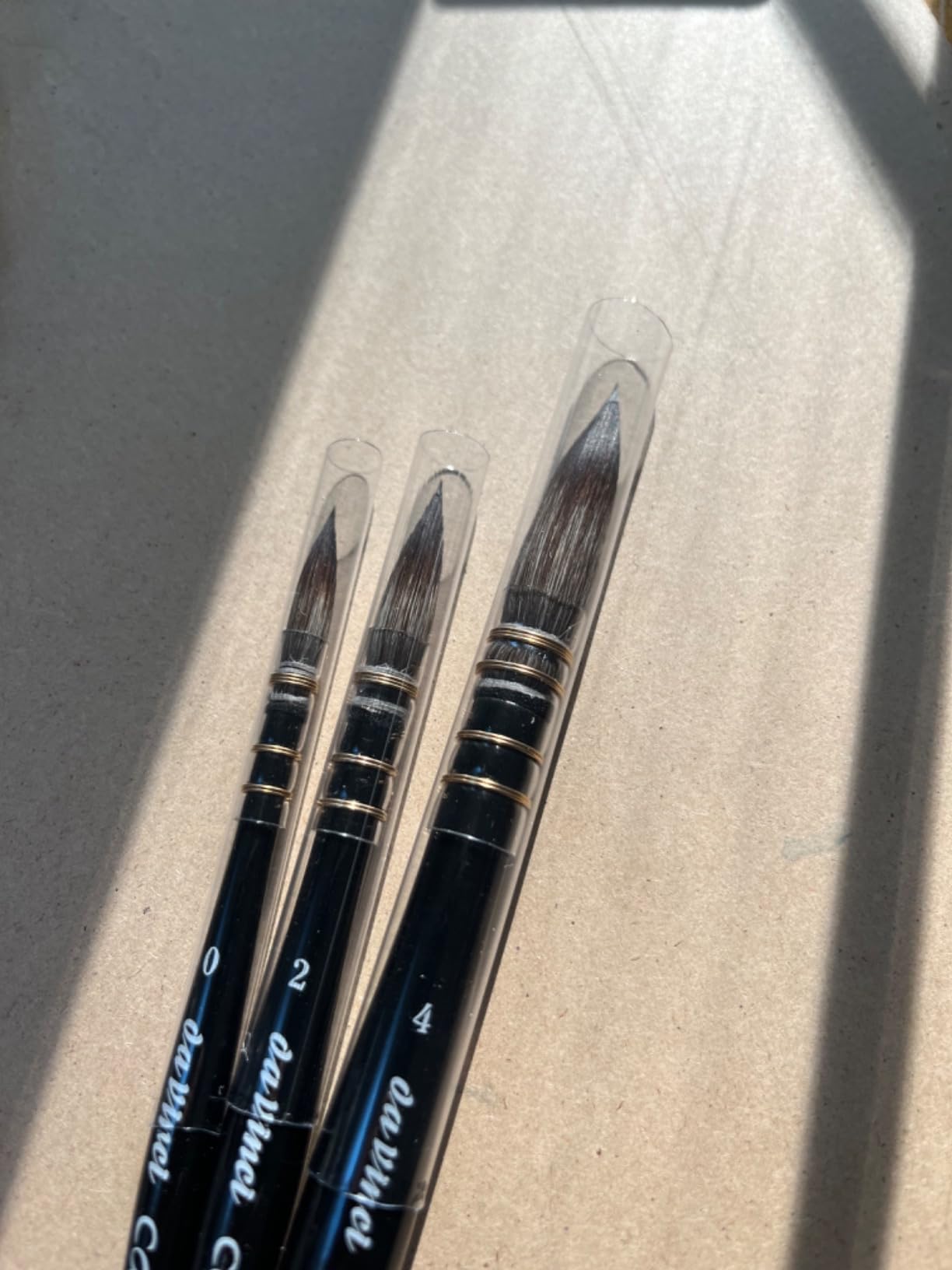 da Vinci Spin Miniature Detail Brush Set (Sizes 10/0, 5/0, 3/0, 2/0, 0) customer photo 1