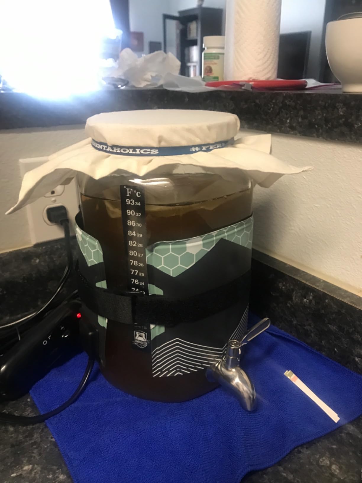 Fermentaholics Kombucha Brewing Starter Kit - USDA Certified Organic SCOBY & Tea, Complete Home Kombucha Making Kit with Culture, Kosher Certified (Deluxe Kombucha Brewing Kit) customer photo 1