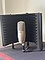 Professional Studio Recording Microphone Isolation Shield, Pop Filter,High density absorbent foam is used to filter vocal. Suitable for Blue Yeti and other condenser microphones (AO-504 With Stand) customer photo 1