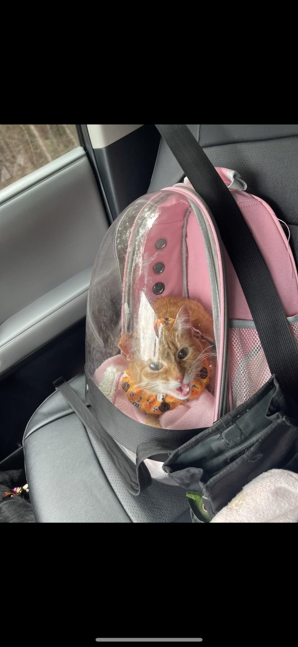Henkelion Bubble Carrying Bag for Small Medium dogs Cats, Space Capsule Pet Hiking backpack, Airline Approved Travel carrier - Grey customer photo 2