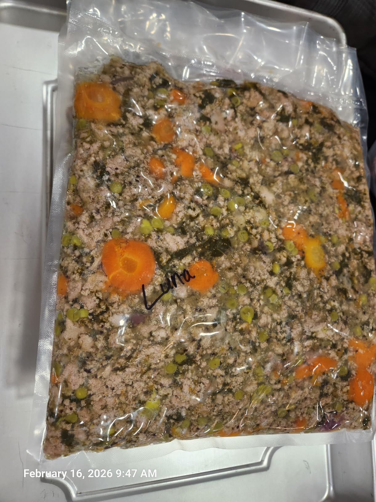 VP230 Chamber Vacuum Sealer customer photo 1