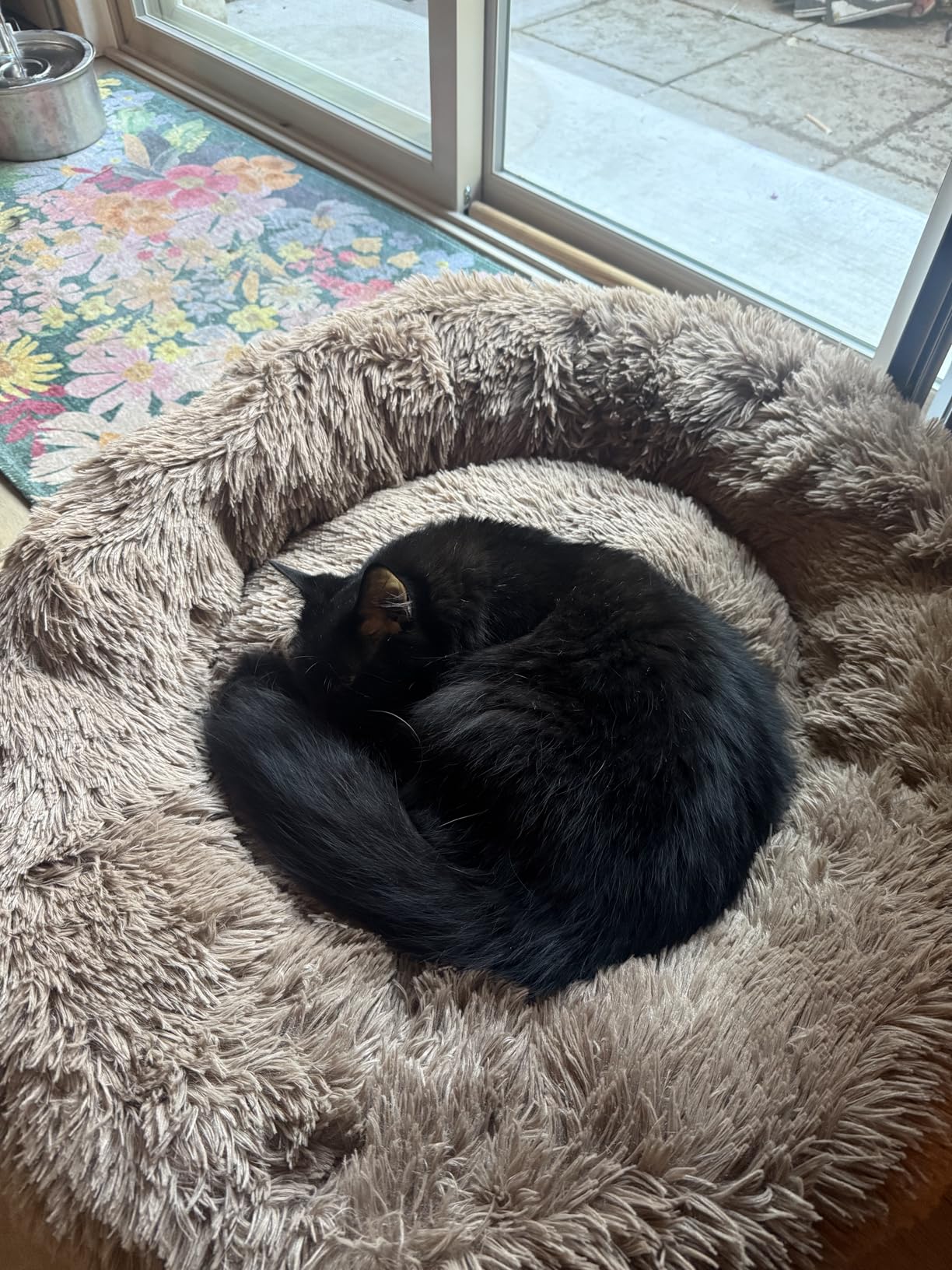 HACHIKITTY Calming Donut Cuddler Dog Bed, Round Fluffy Pet Bed for Large Dogs,Washable, Large, Gray, 30'' customer photo 1