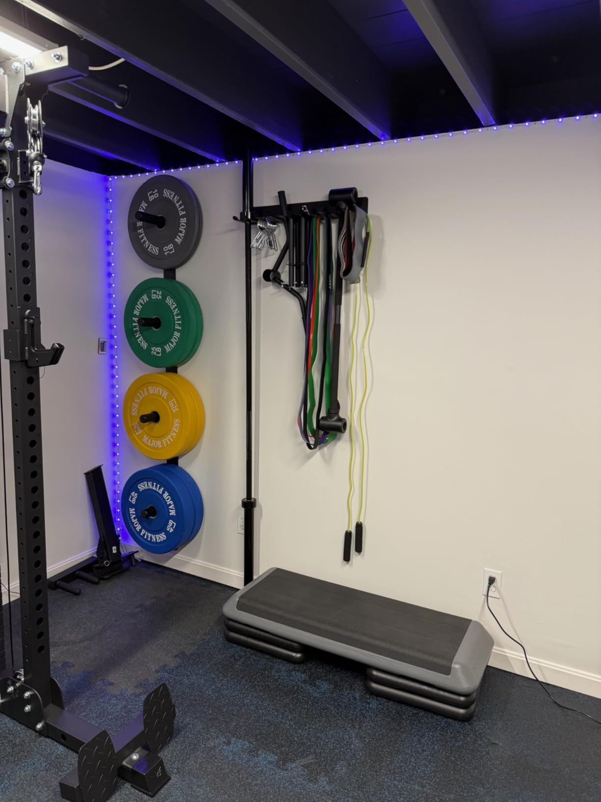 PRx Performance Profile Weight Plate Storage 3-Peg or 4-Peg Wall-Mounted Vertical Bumper weight plate Holder garage Workouts, home or commercial gym 2-Inch Barbell Plates customer photo 1