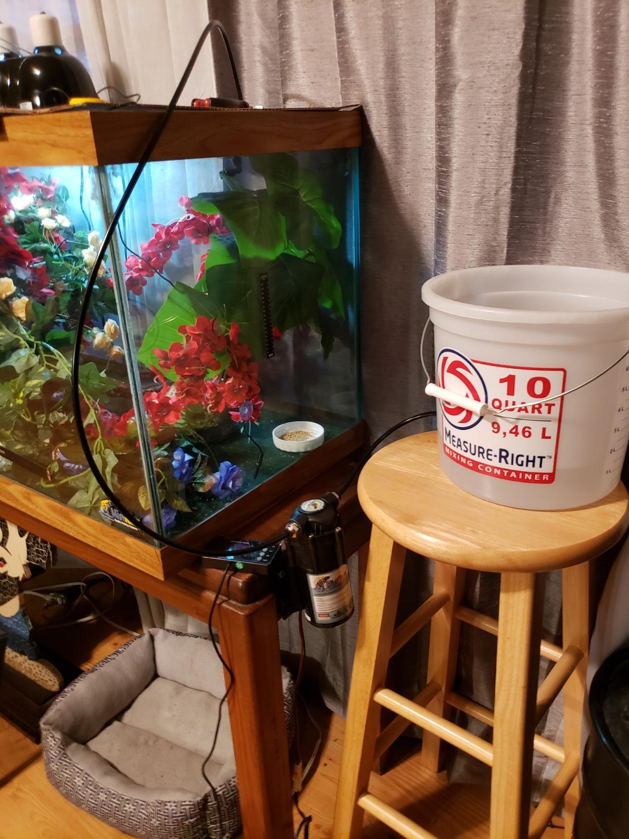MistKing Starter Misting System, 5th Gen | Used by Zoos, Botanical Gardens, Institutions & Hobbyists | Expandable to 10 Nozzles | Extremely Fine Mist | 50 Micron Droplets customer photo 1