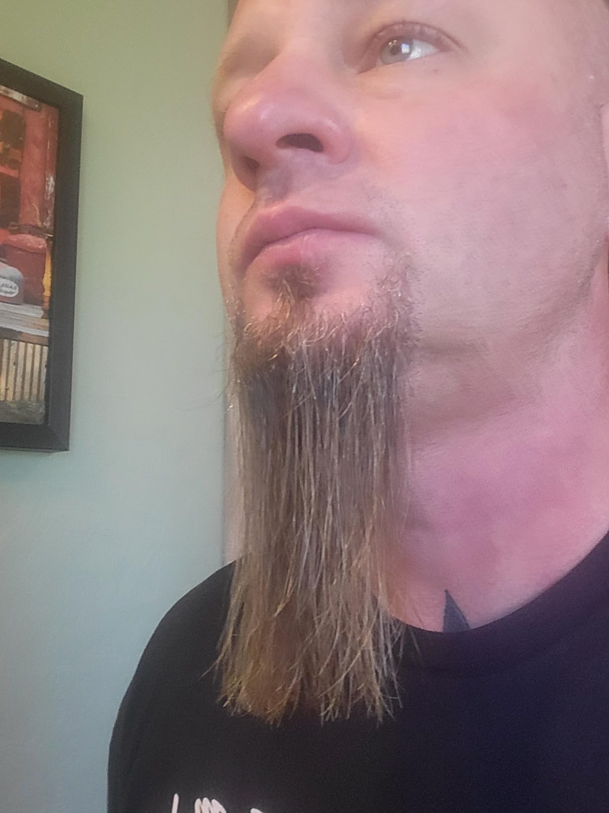 Wild Willies Beard Straightener Brush & Hot Comb - Tourmaline Ceramic customer photo 2