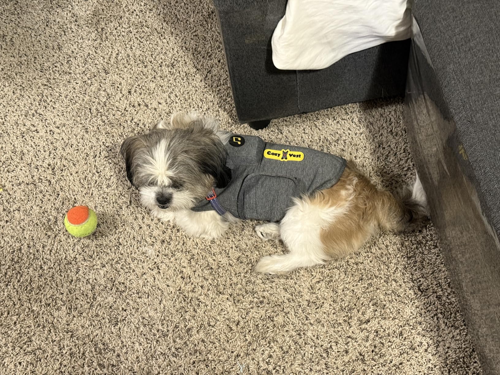 CozyVest Dog Anxiety Vest 3-in-1 Music & Aromatherapy Shirt, Relaxing Sound & Essential Oils Jacket, Fireworks Thunder Separation & Thunderstorm Canine Stress Relief Coat (Gray, XXS [Up to 7 Lbs]) customer photo 2