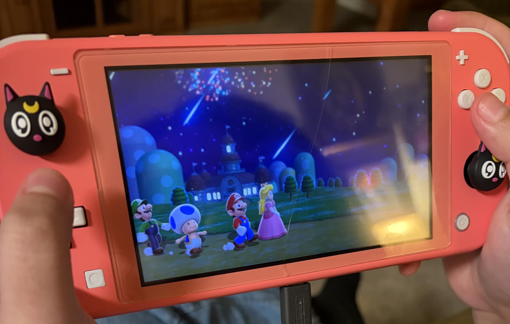 Super Mario 3D World + Bowser's Fury - US Version customer photo 1