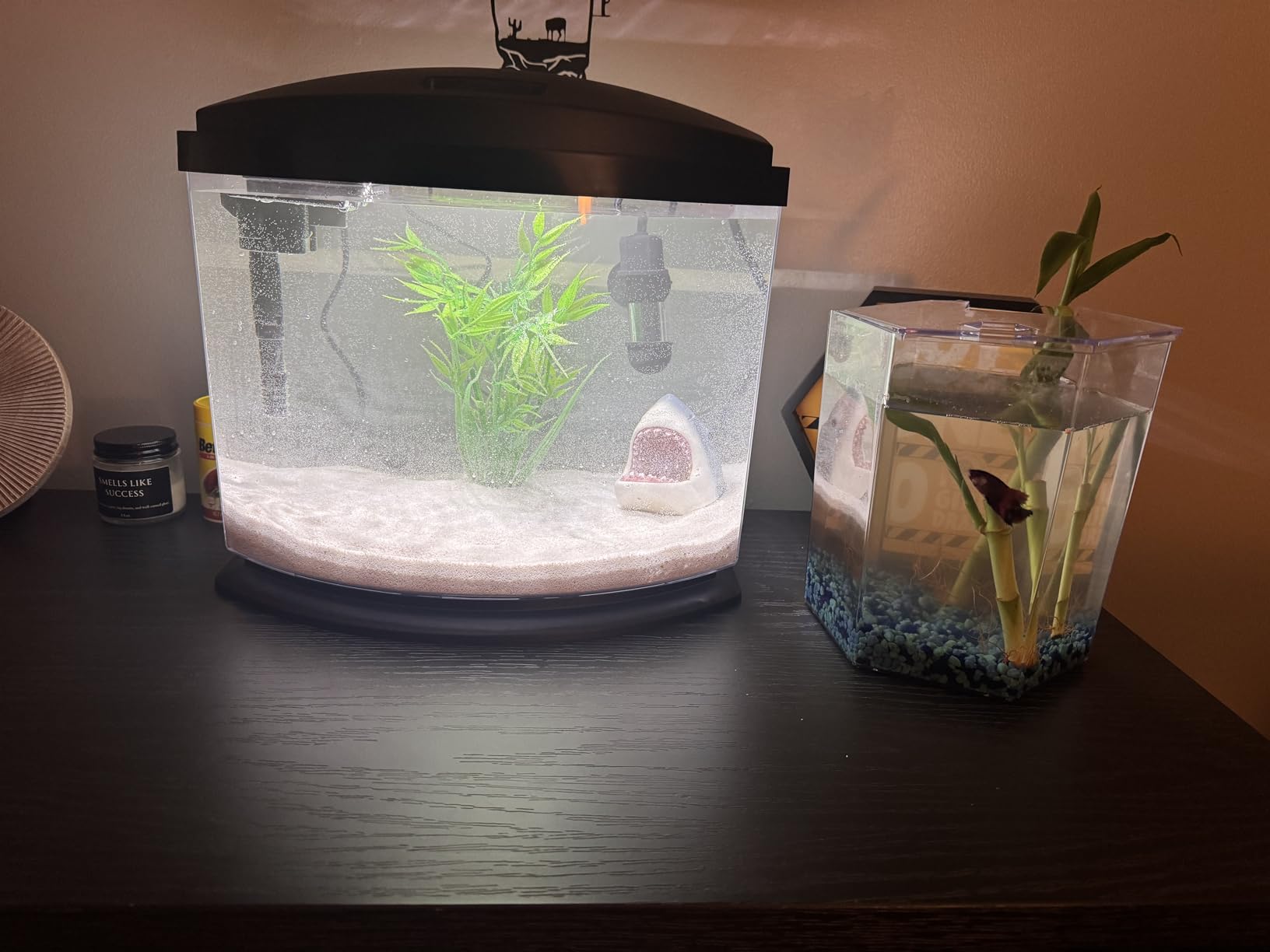 Aqueon MiniBow Small Aquarium Starter Kit, All-in-One Desktop Fish Tank for Betta, Shrimp or Small Fish, Includes SmartClean Filter Technology, LED Light and Conditioner, Black, 5 Gallon customer photo 1