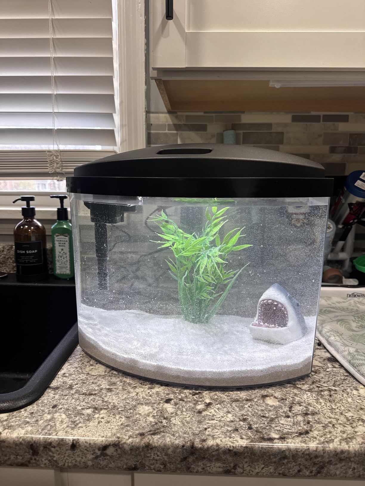 Aqueon MiniBow Small Aquarium Starter Kit, All-in-One Desktop Fish Tank for Betta, Shrimp or Small Fish, Includes SmartClean Filter Technology, LED Light and Conditioner, Black, 5 Gallon customer photo 2