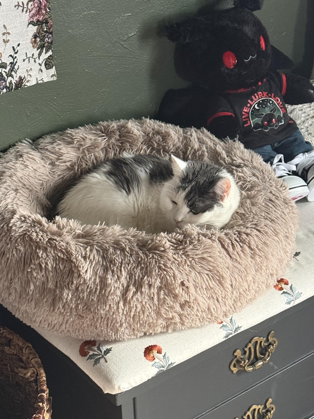 WESTERN HOME WH Calming Dog Bed & Cat Bed, Anti-Anxiety Donut Dog Cuddler Bed, Warming Cozy Soft Dog Round Bed, Fluffy Faux Fur Plush Dog Cat Cushion Bed for Small Medium Dogs and Cats customer photo 2