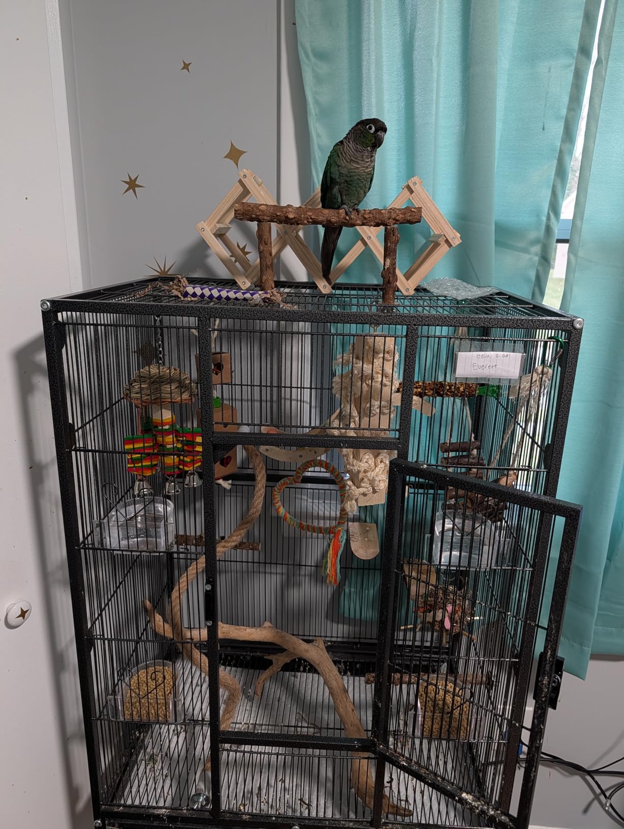 VIVOHOME 54 Inch Wrought Iron Large Bird Cage with Rolling Stand | Bird Flight Cage with Stand, Casters, Slide-out Tray for Parakeets Canaries Parrot Cockatiels Lovebirds Conures, Black customer photo 1