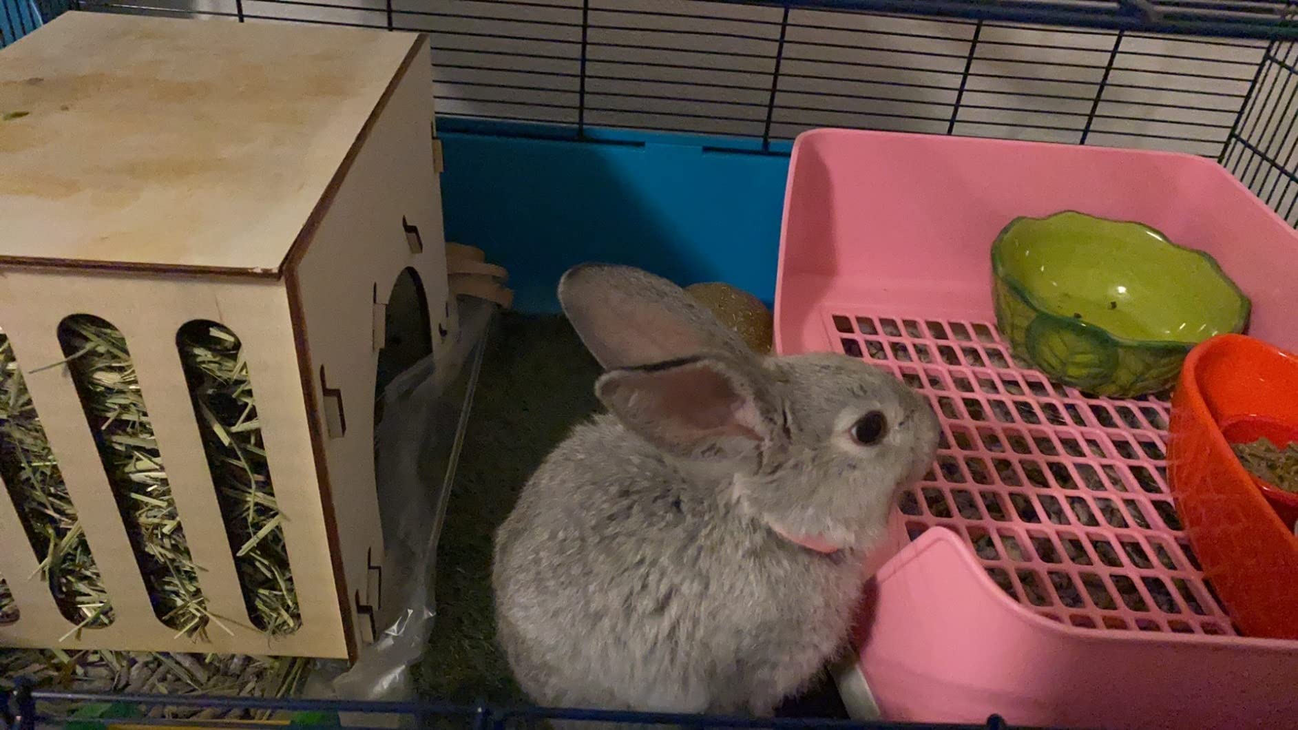 PINVNBY Large Rabbit Litter Box Corner Toilet Box Bigger Pan Pet Potty Trainer with Drawer for Adult Bunny Guinea Pig Chinchilla Ferret Galesaur Hedgehog Small Animals(Brown) customer photo 2