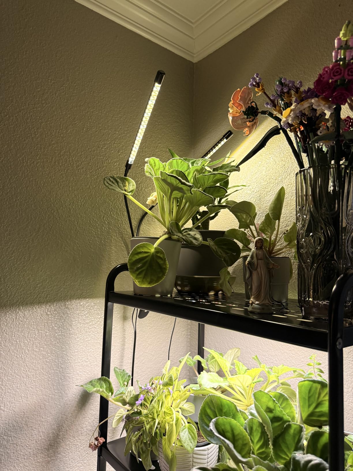bseah Grow Light Plant Lights for Indoor Plants, Full Spectrum Plant Grow Lamp, 10 Dimmable Levels, Auto ON & Off with 3/9/12H Timer customer photo 1