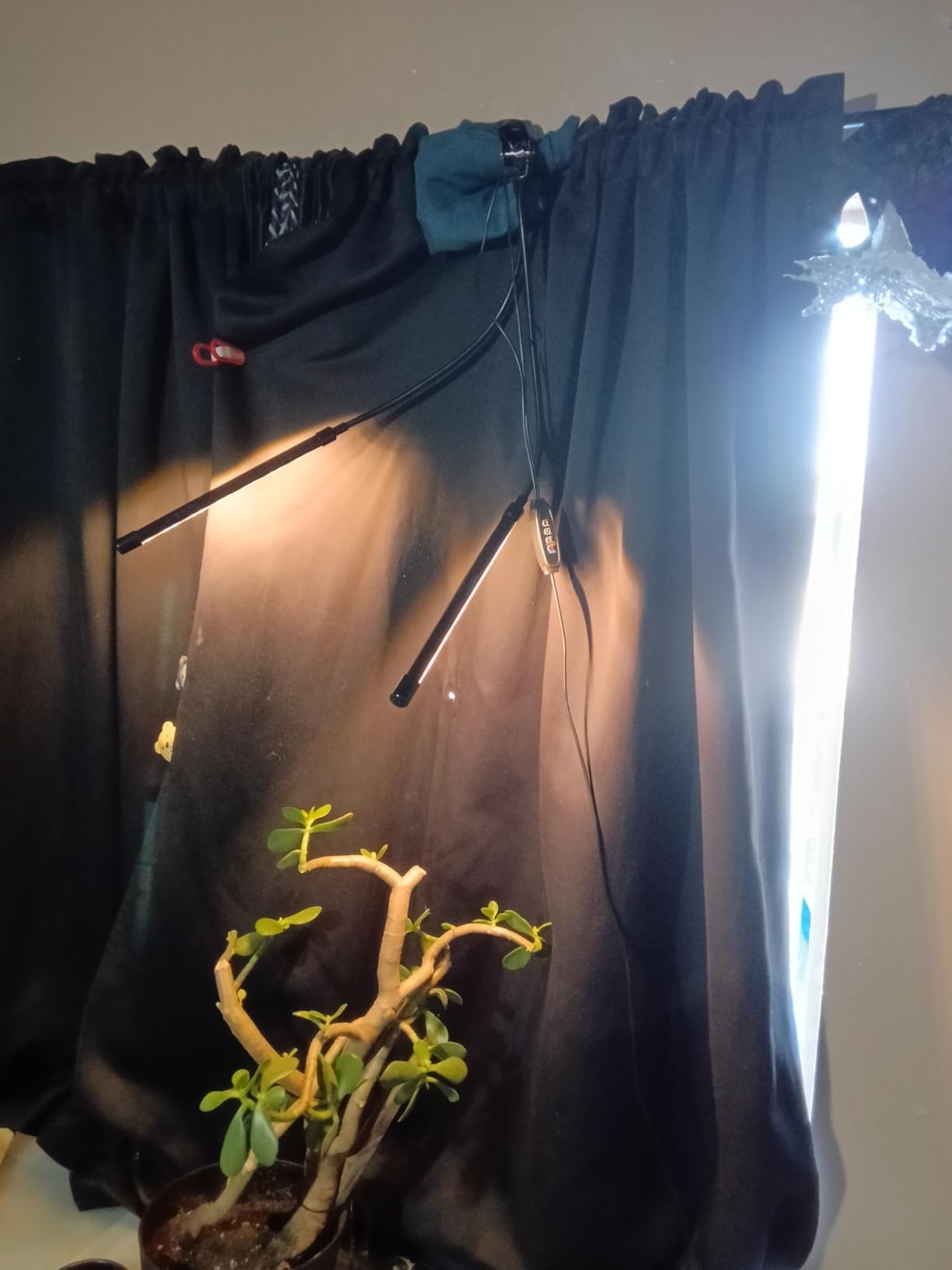 bseah Grow Light Plant Lights for Indoor Plants, Full Spectrum Plant Grow Lamp, 10 Dimmable Levels, Auto ON & Off with 3/9/12H Timer customer photo 2