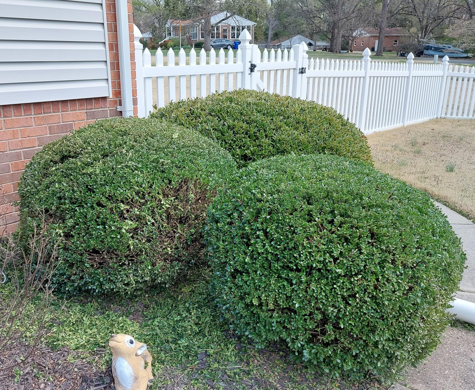CRAFTSMAN V20 4 In. Cordless Handheld Grass Trimmer and 8 In. Mini Hedge Trimmer, Battery and Charger Included, Rechargeable 2 in 1 Grass Shear and Bush Trimmer (CMCSS800C1) customer photo 2