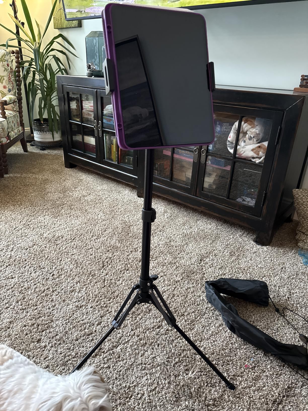 Lamicall Tablet Floor Tripod Stand - 64.9 inch Tablet Holder Mount with Adjustable Height for Stream/Watching with Bluetooth Remote customer photo 1