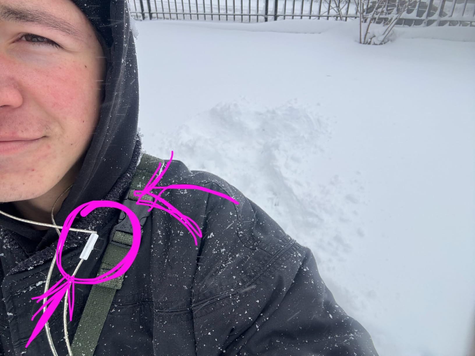 KZ ZSN PRO X IEM Earphones Dual Driver in Ear Monitor 1BA 1DD Wired Earphones HiFi Gaming Earbuds for Phone Computer Tablet customer photo 2