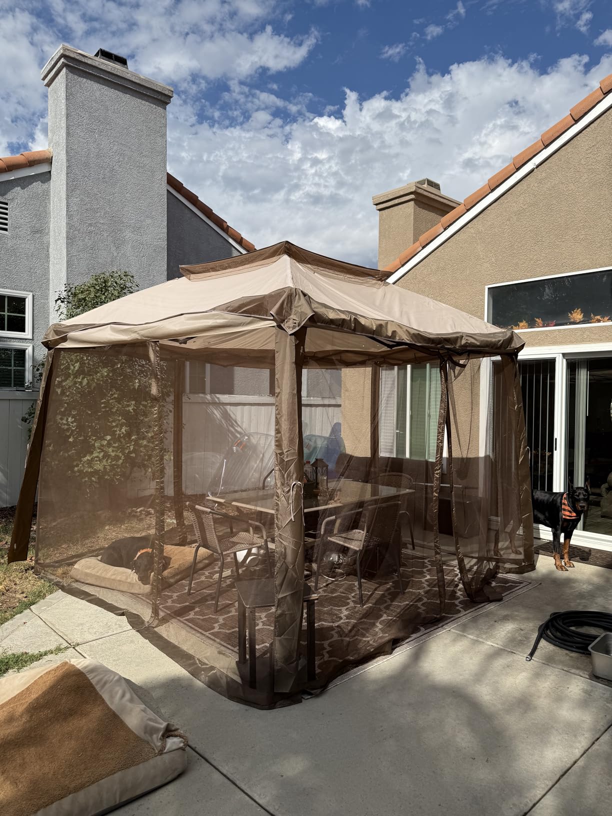 COOS BAY 11x11 Pop Up Gazebo with Mesh Netting, Instant Outdoor Canopy Tent, Water Resistant Shelter with UPF 50+ UV Protection, 121 Sq Ft Coverage, Brown customer photo 1