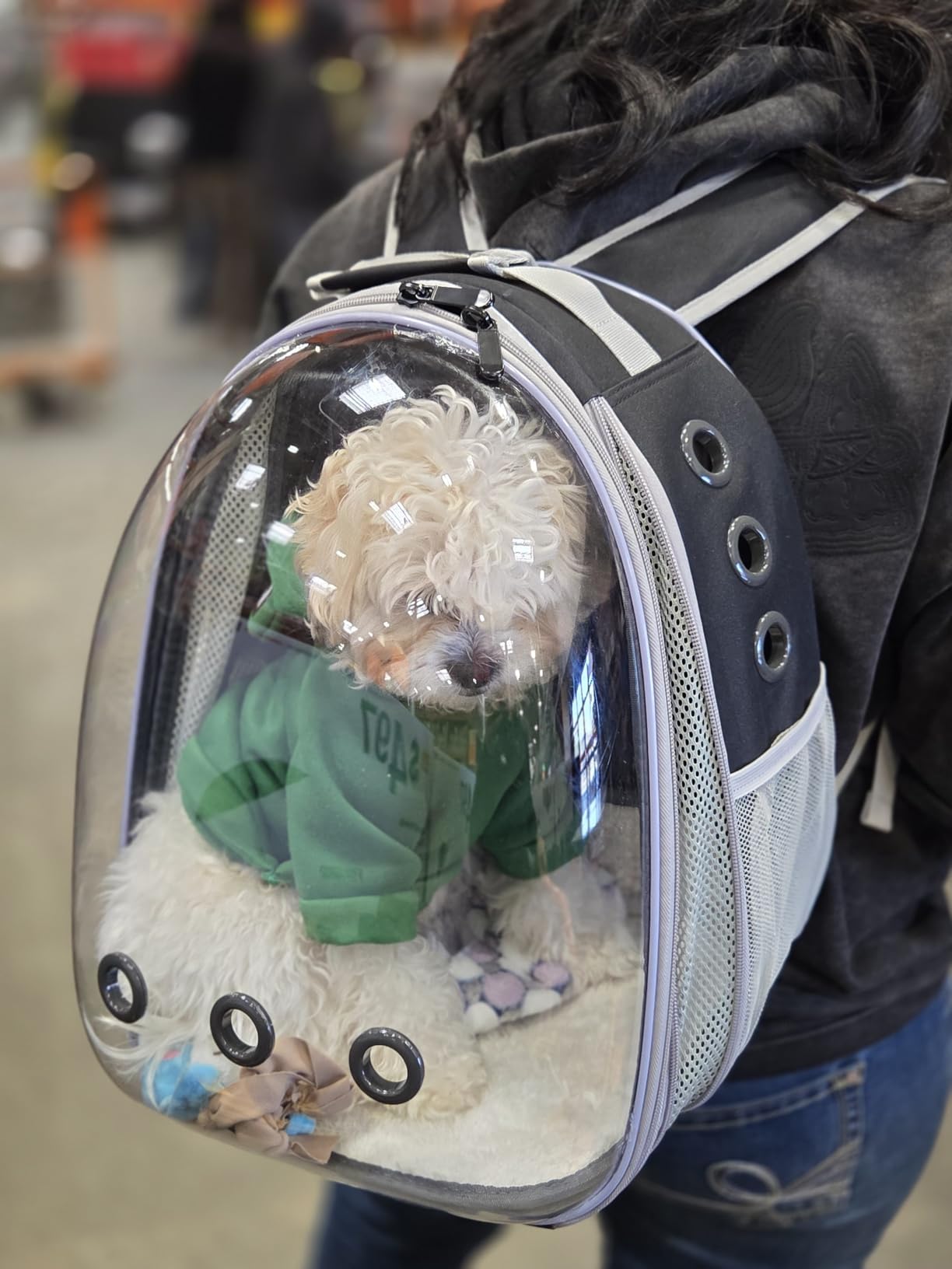 Lollimeow Cat Carrier Backpack, Expandable Bubble Pet Carrier for Cats and Small Dogs, Airline Approved Travel Backpack for Hiking, Walking & Outdoor Adventures - Supports up to 16 lbs customer photo 1