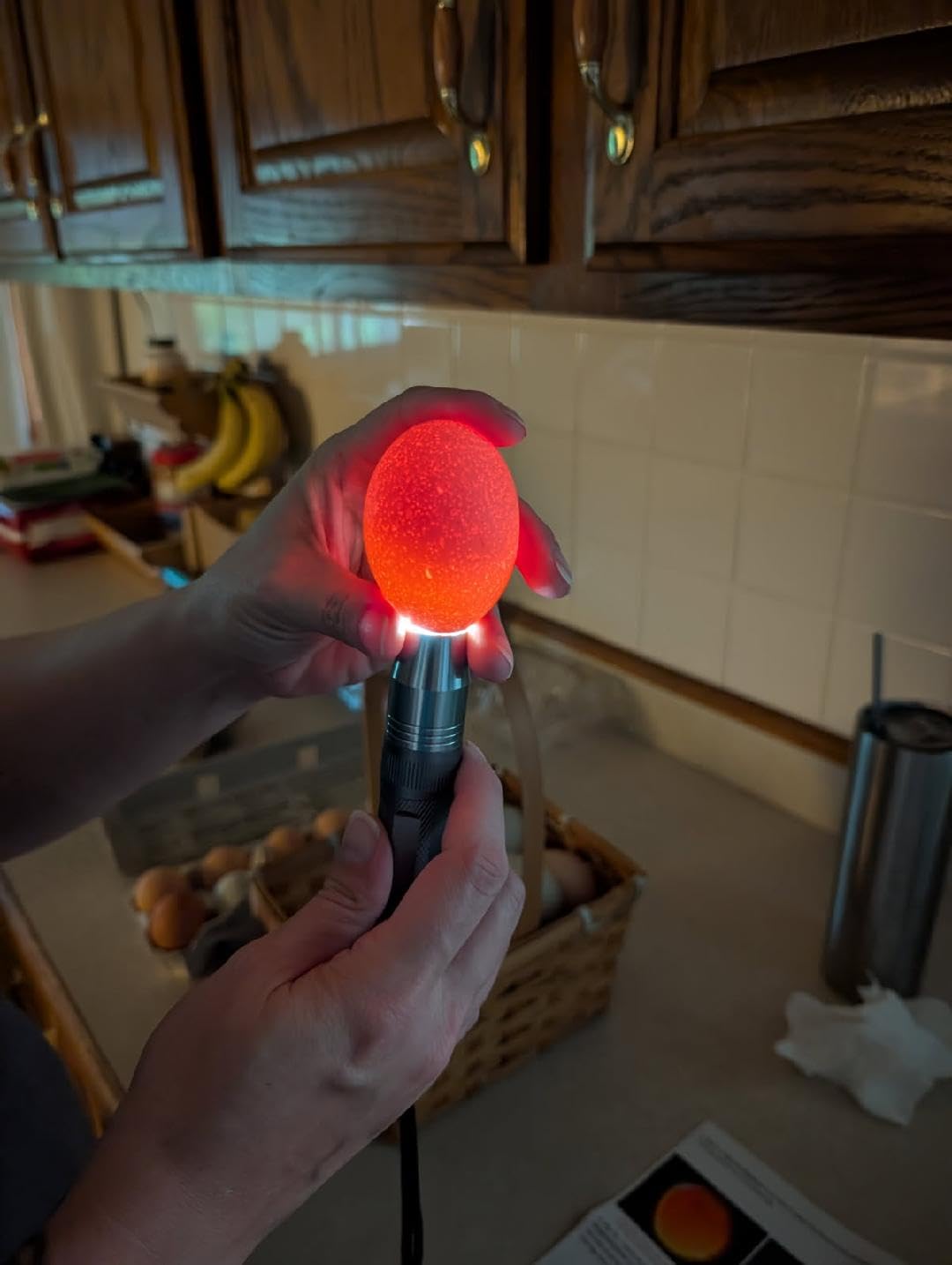 Egg Candler, Egg Incubator Light, 2026 Upgraded Charger, Egg Candler Candling Checker Light for Chicken Quail Dark Canary Pigeon All Eggs Battery Powered, Include Egg Candling Guide customer photo 1